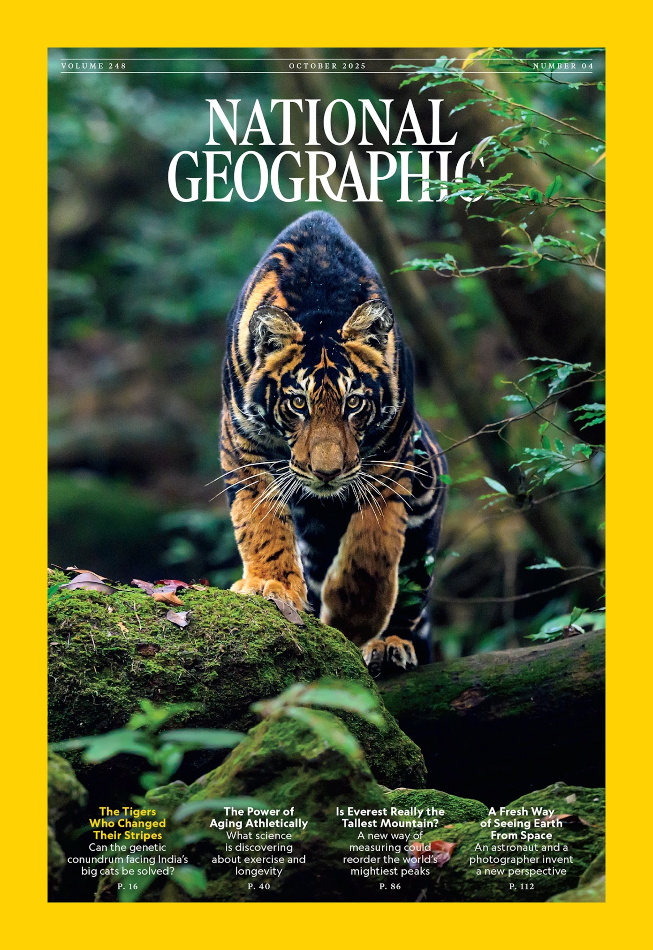 A magazine cover that has a tiger walking towards the camera