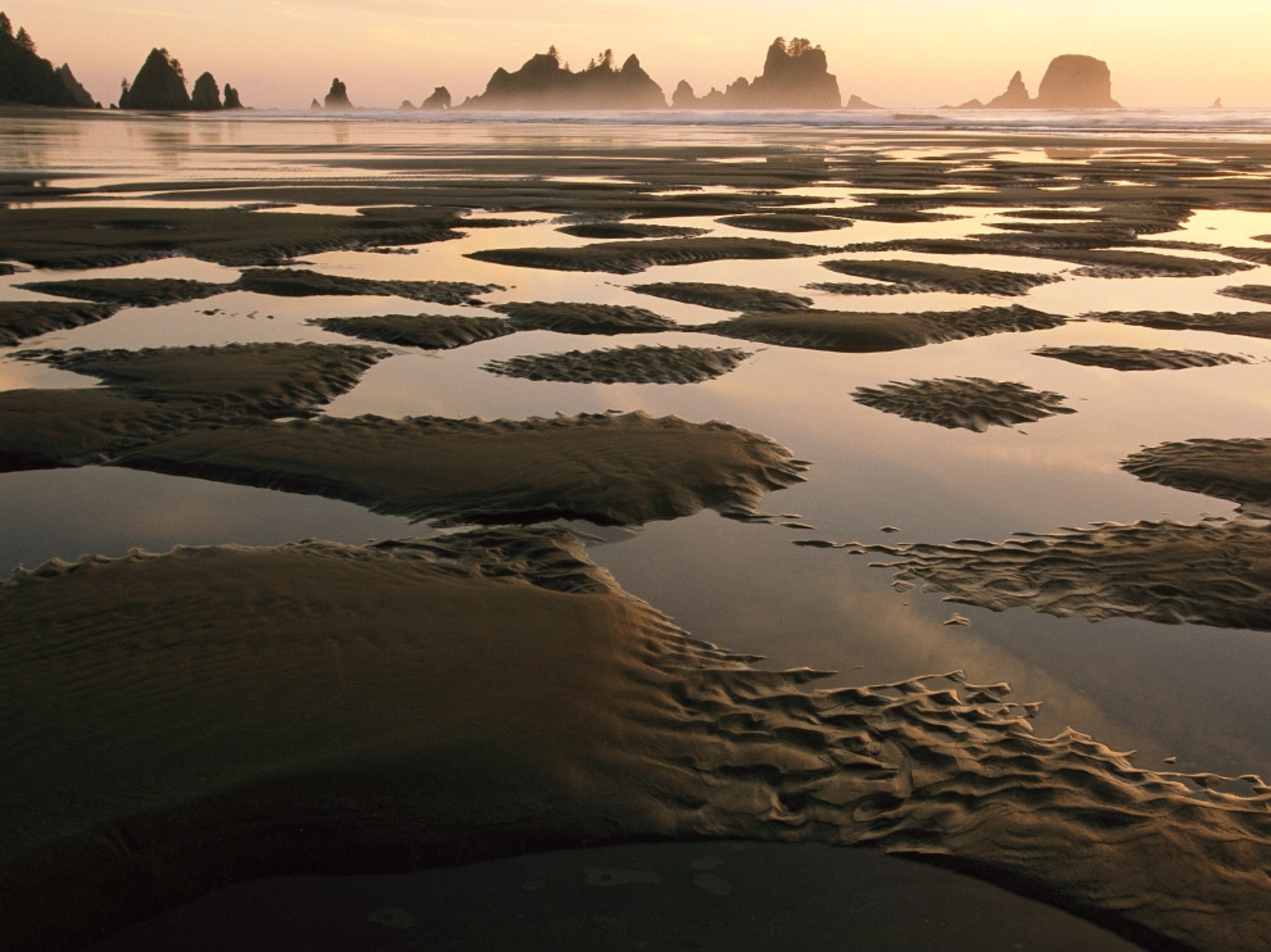Shi Shi Beach Olympic National Park Washington