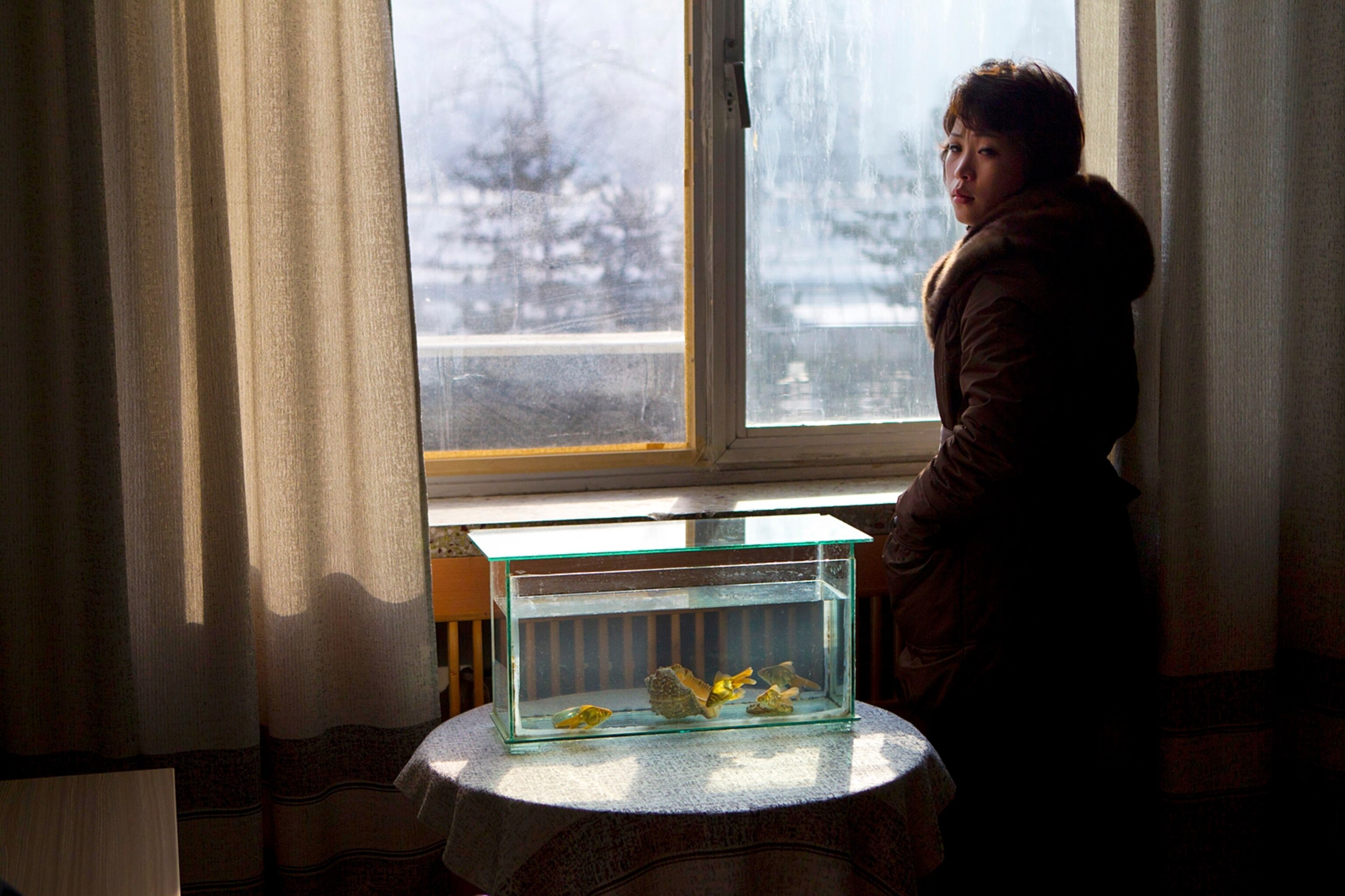 Light shines through a window on to a tank filled with goldfish inside an office at the Korean Central News Agency building in Pyongyang, North Korea.