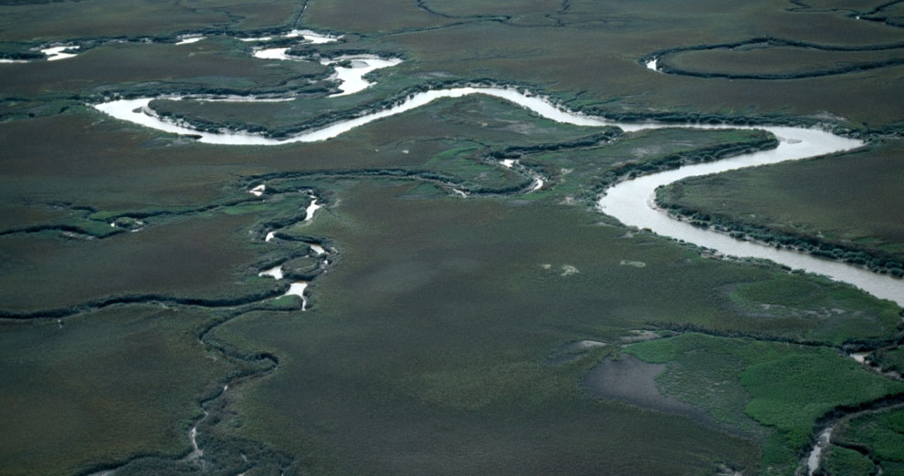 Aerial view of salt marsh