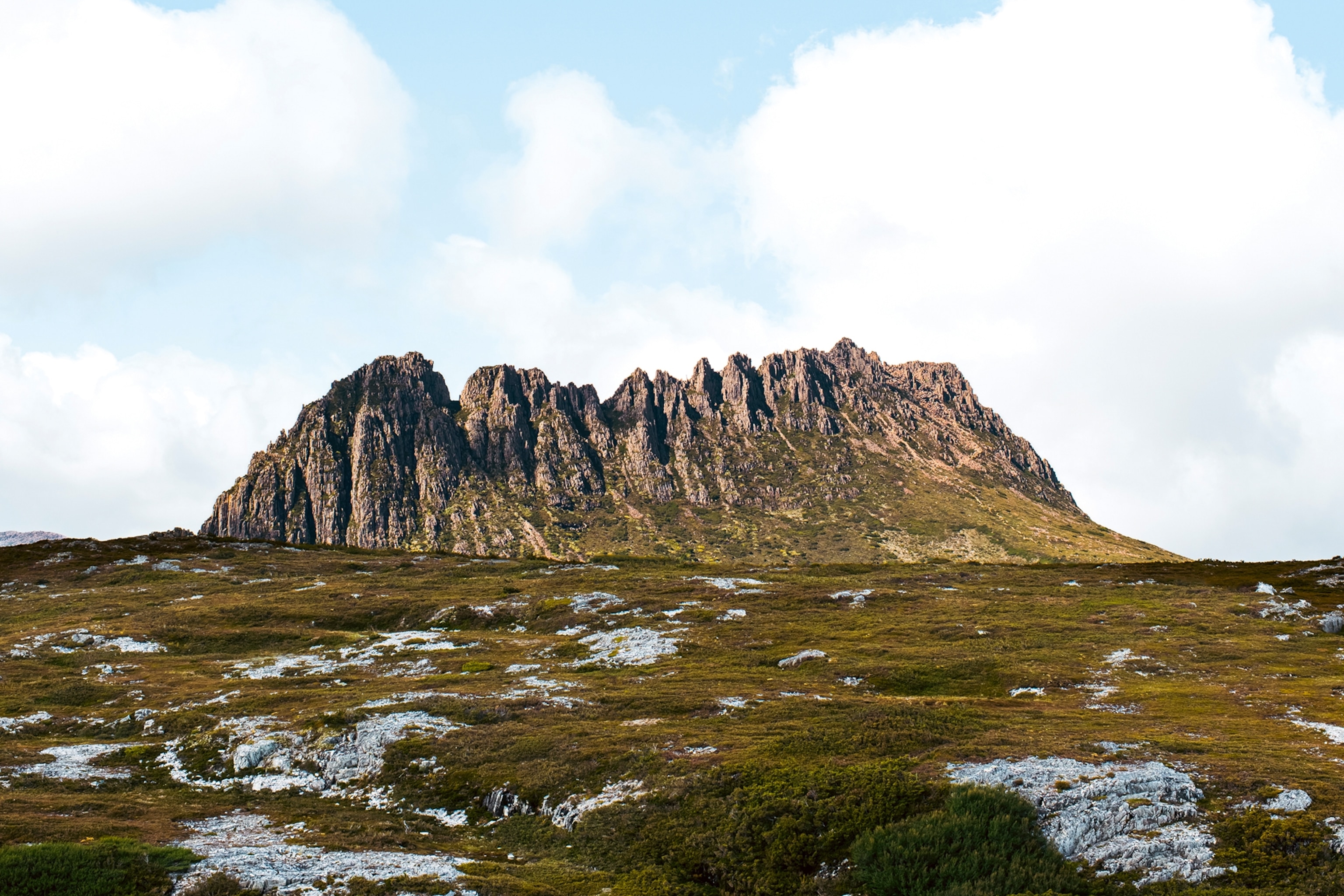 A mossy and flat landscape with a single mountain rising up in the distance.