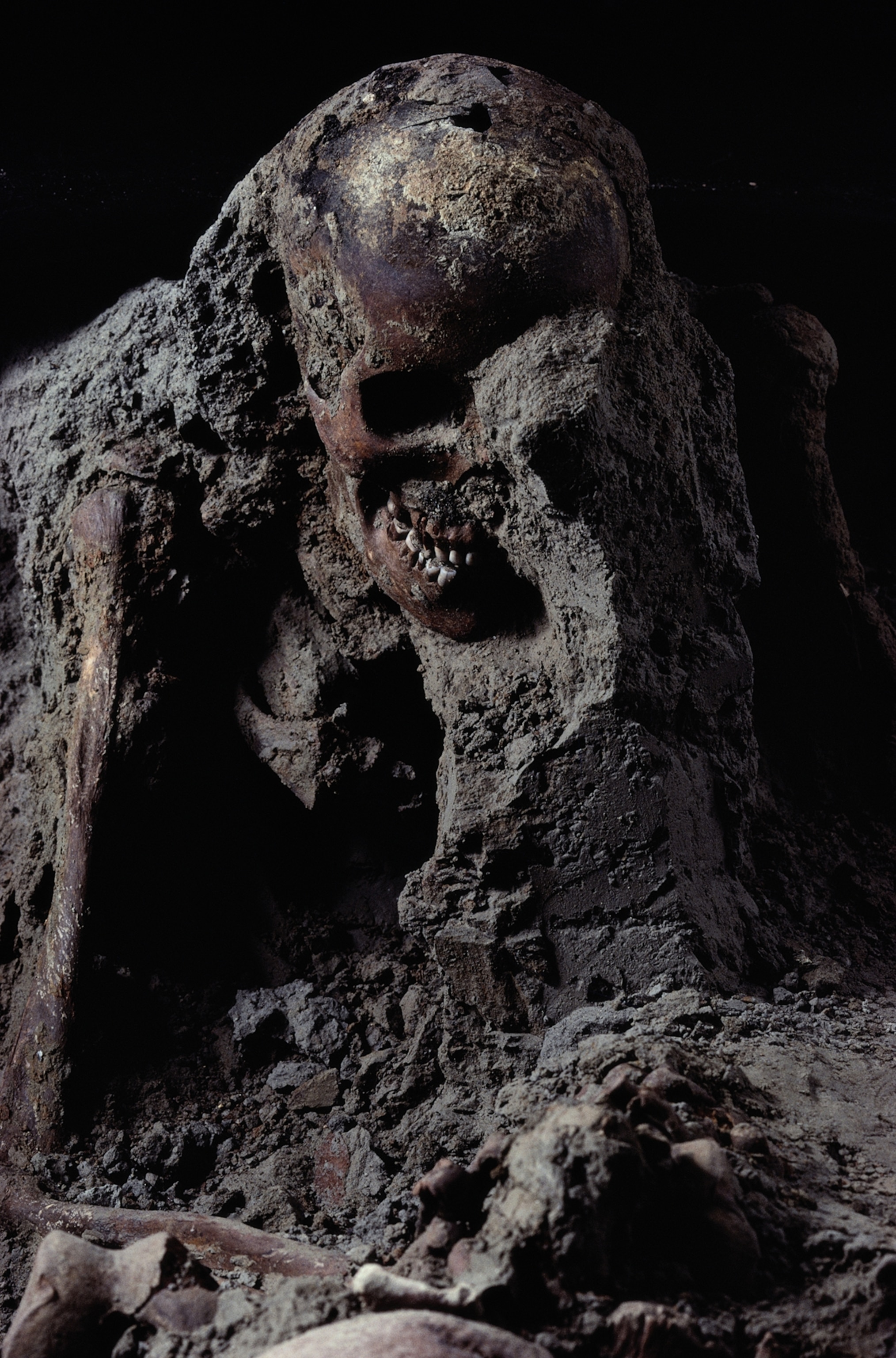 Killing Fields