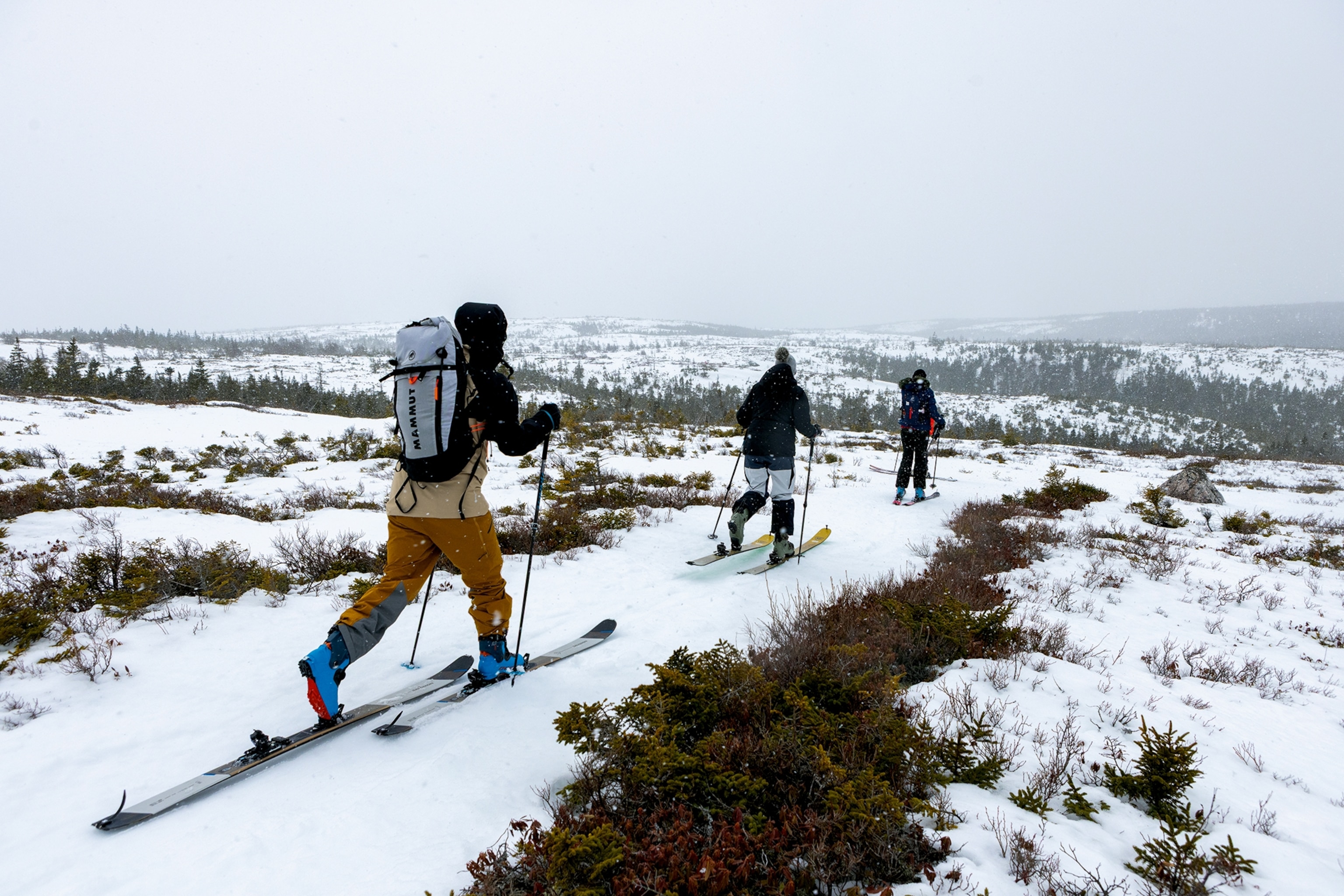 Three people doing cross-country skiing shot from behind with a far-stretching, flat and snowy landscape ahead.