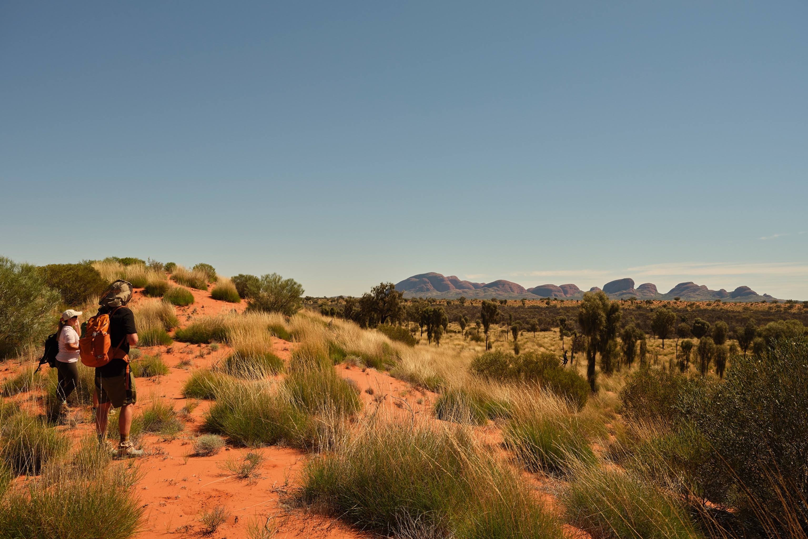 Hikers in the Australian Outback, making their way through low bushes towards rock formations in the distance.