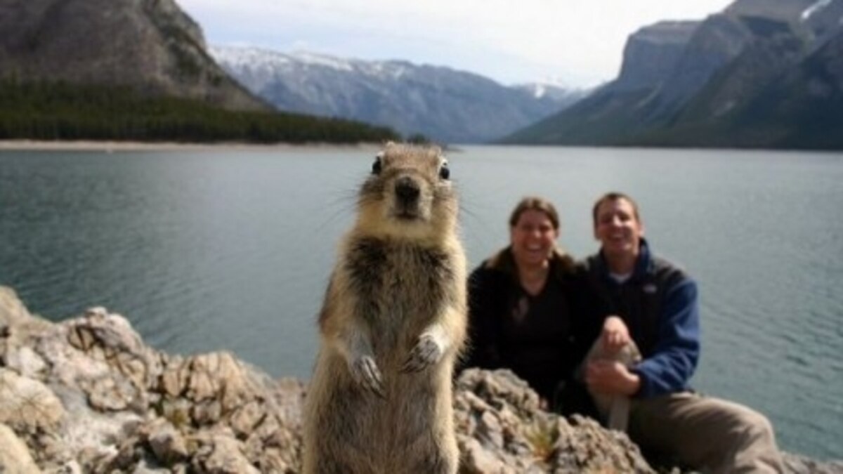 Squirrels Around the World