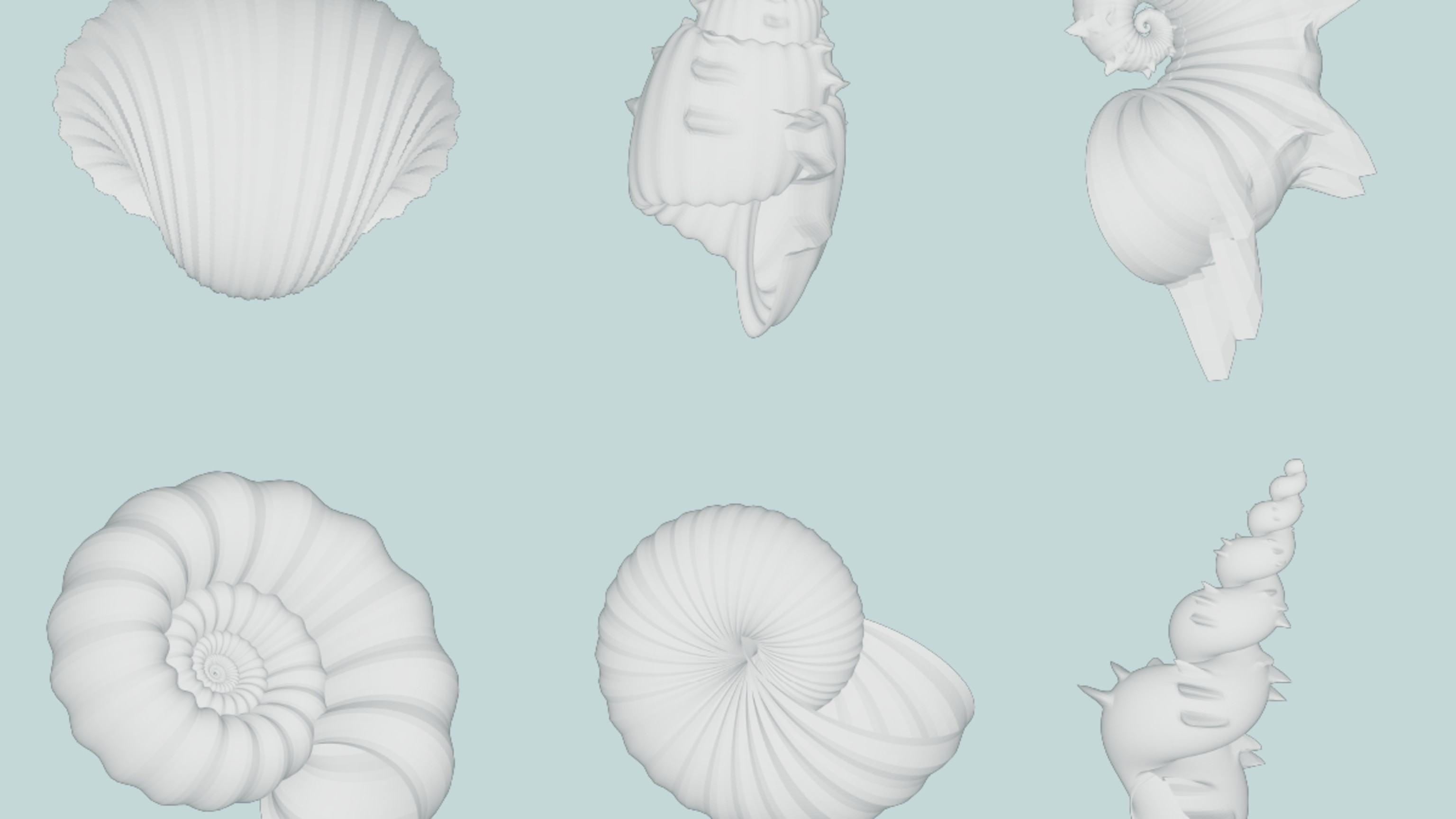 Design your own seashell