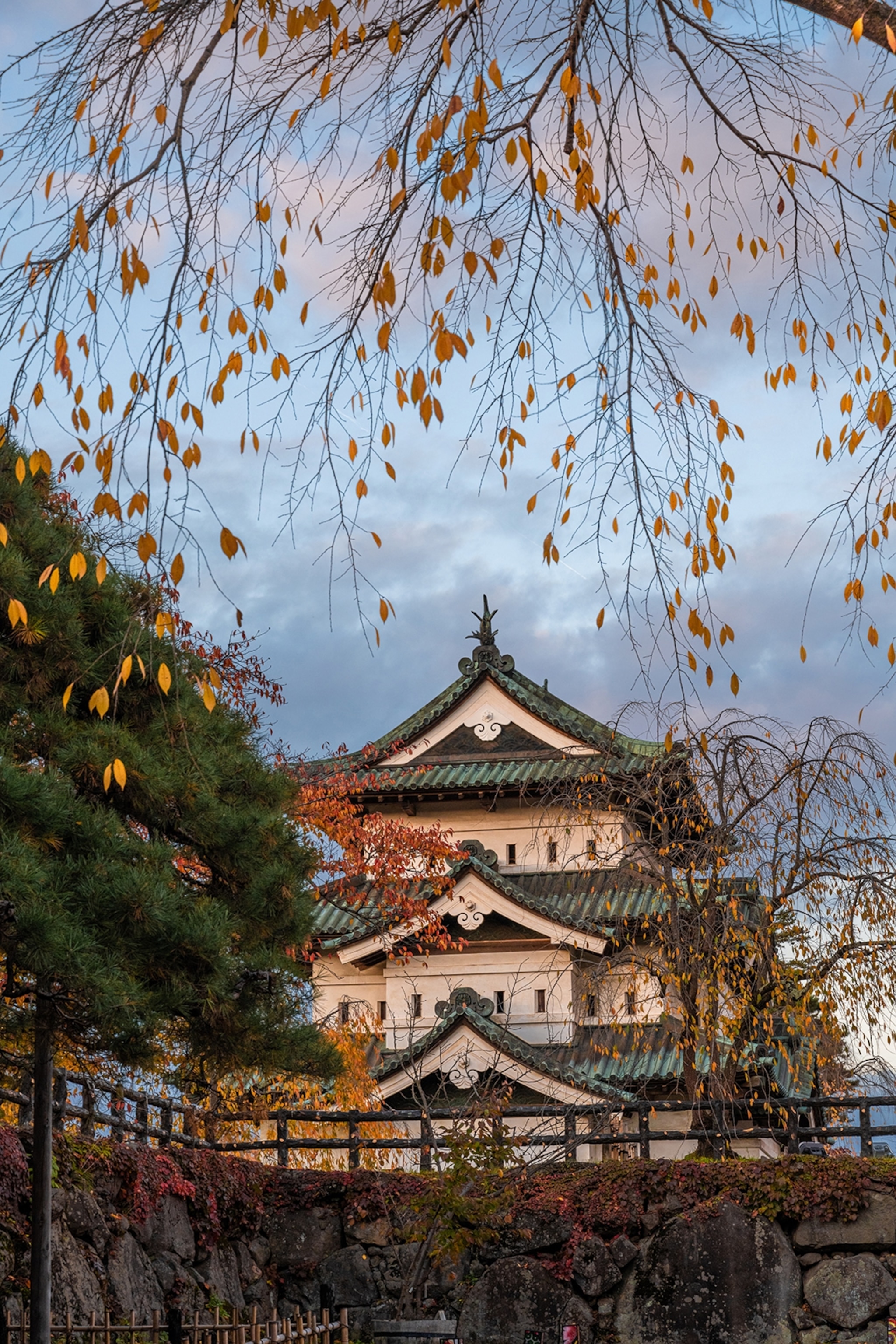 A multi-tiered and tiled Japanese castle seen through autumnal trees.