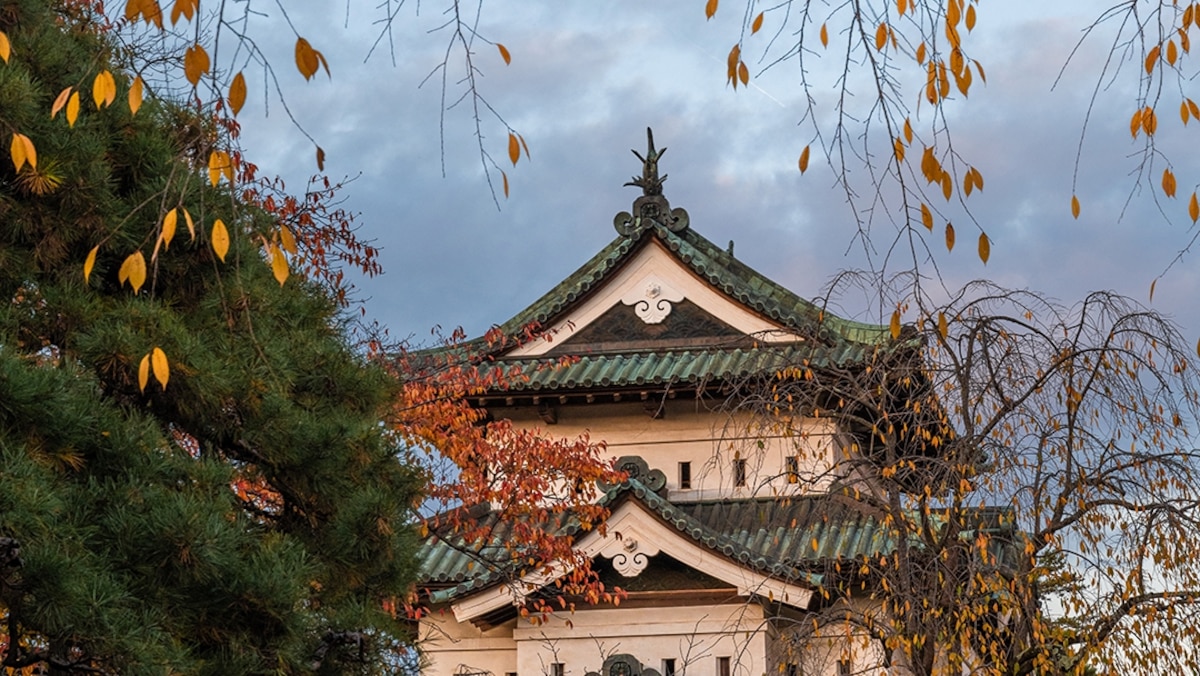 7 reasons why Aomori should be on your Japan travel itinerary