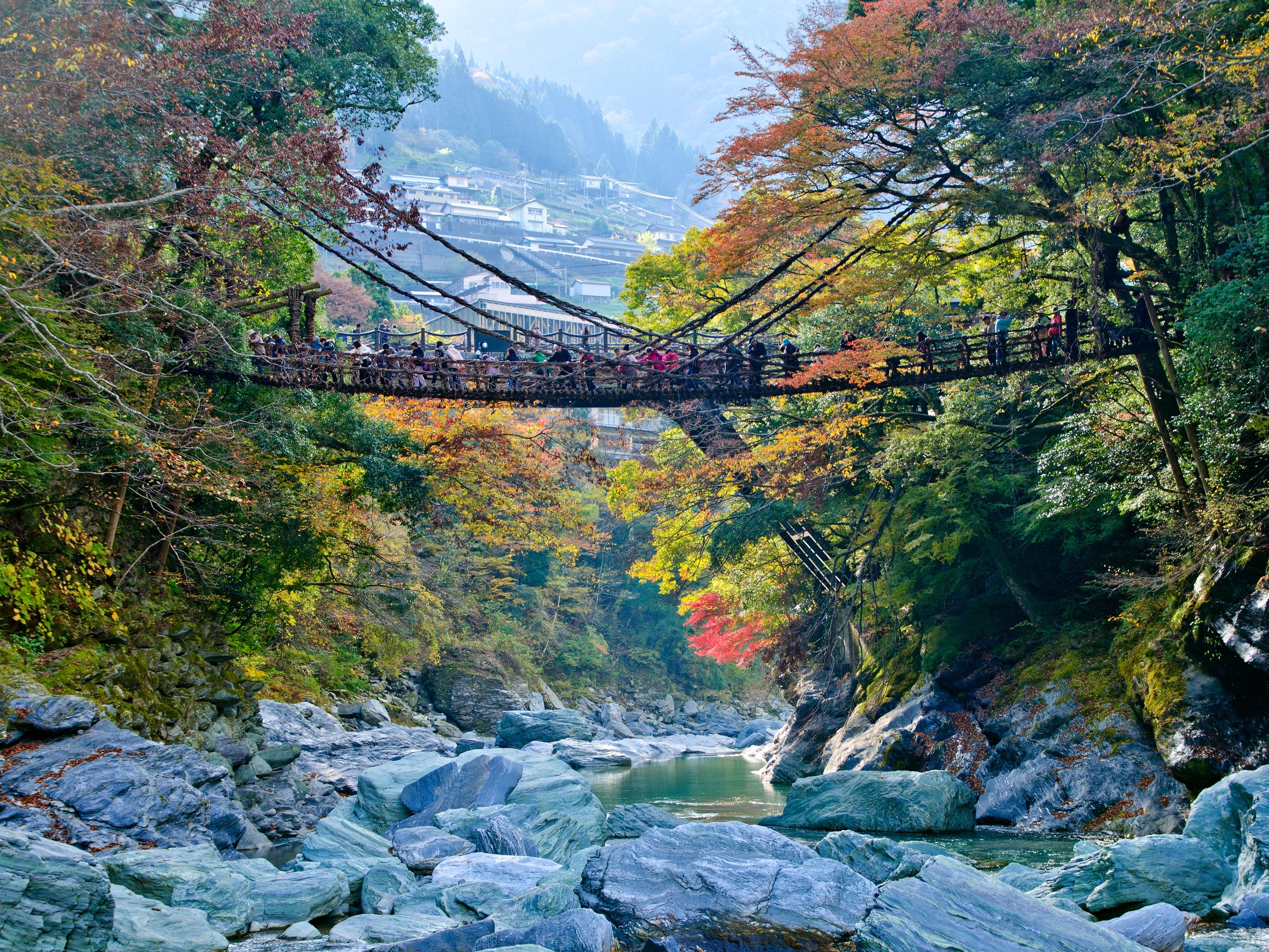 精霊の橋―Beringia Discover the hidden vine bridges of Shikoku island, Japan