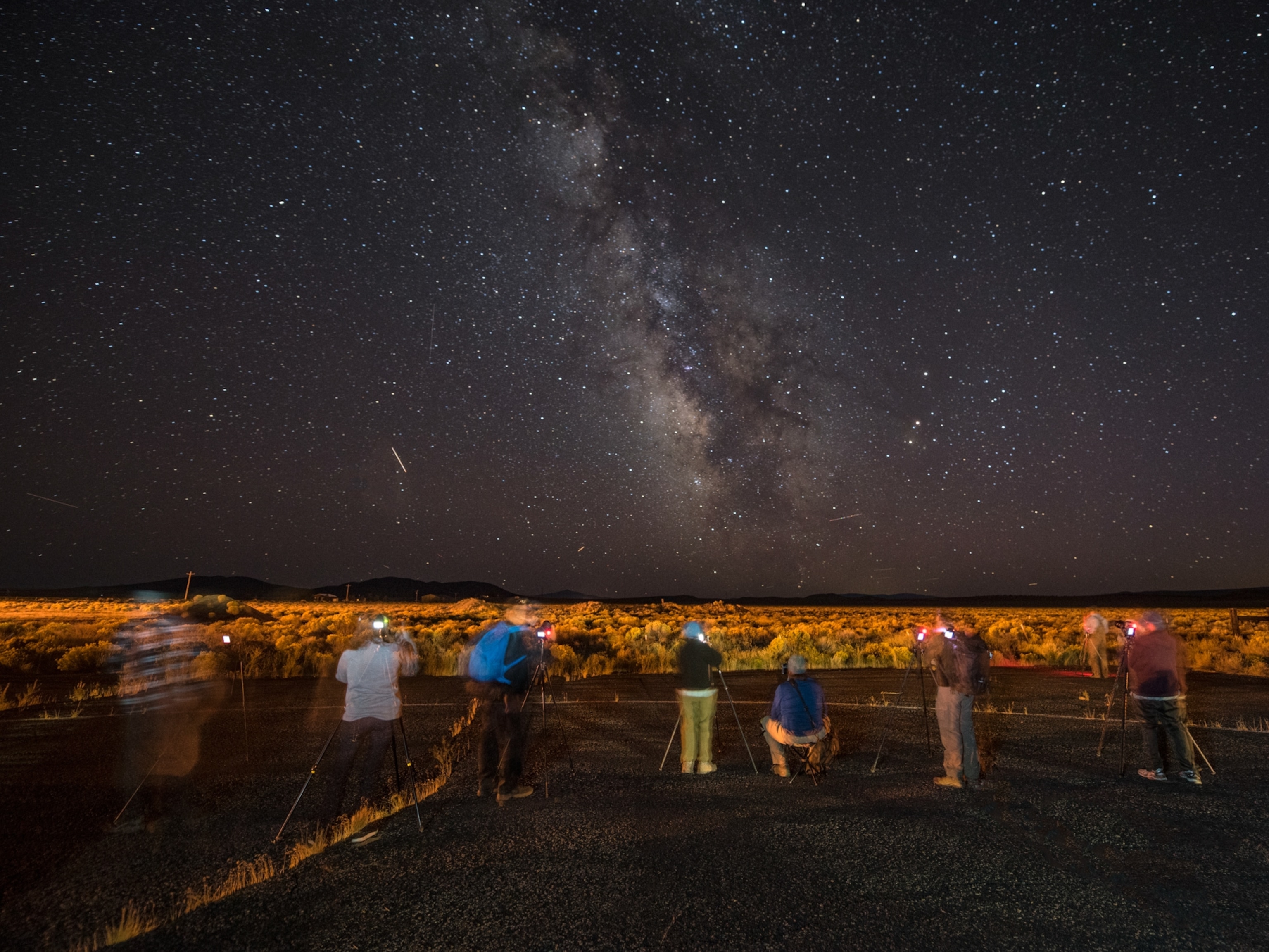 These elusive insects glow electric blue—and are only found in Appalachia |  National Geographic