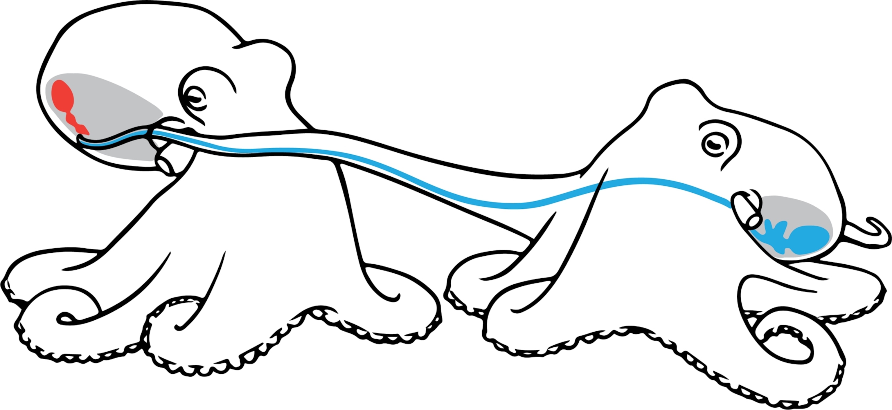 Two cartoon octopuses exchange gametes via one of the octopus' arms