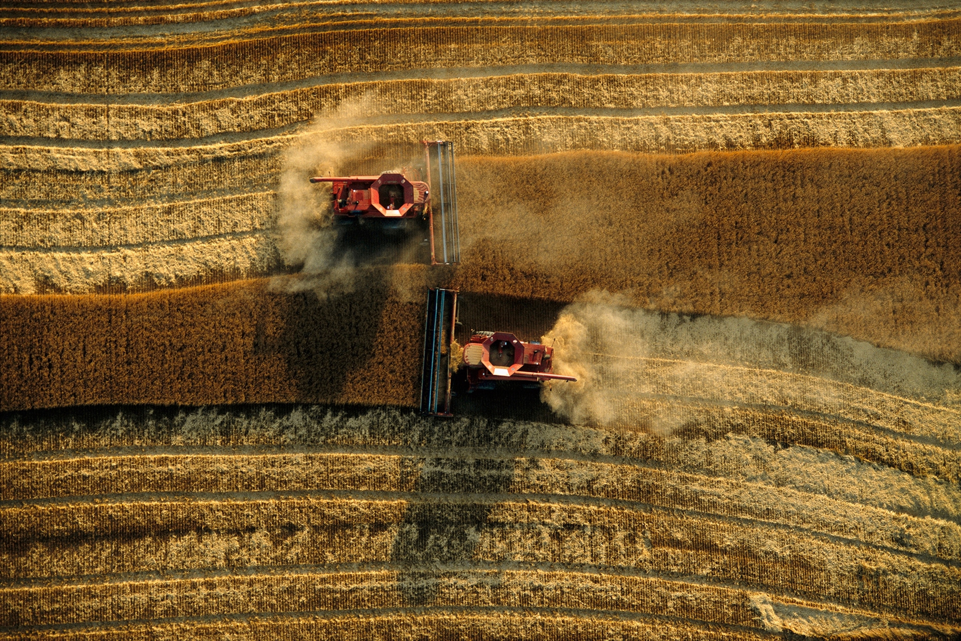 An aerial view of two combines passing over a wheat field in opposite directions.