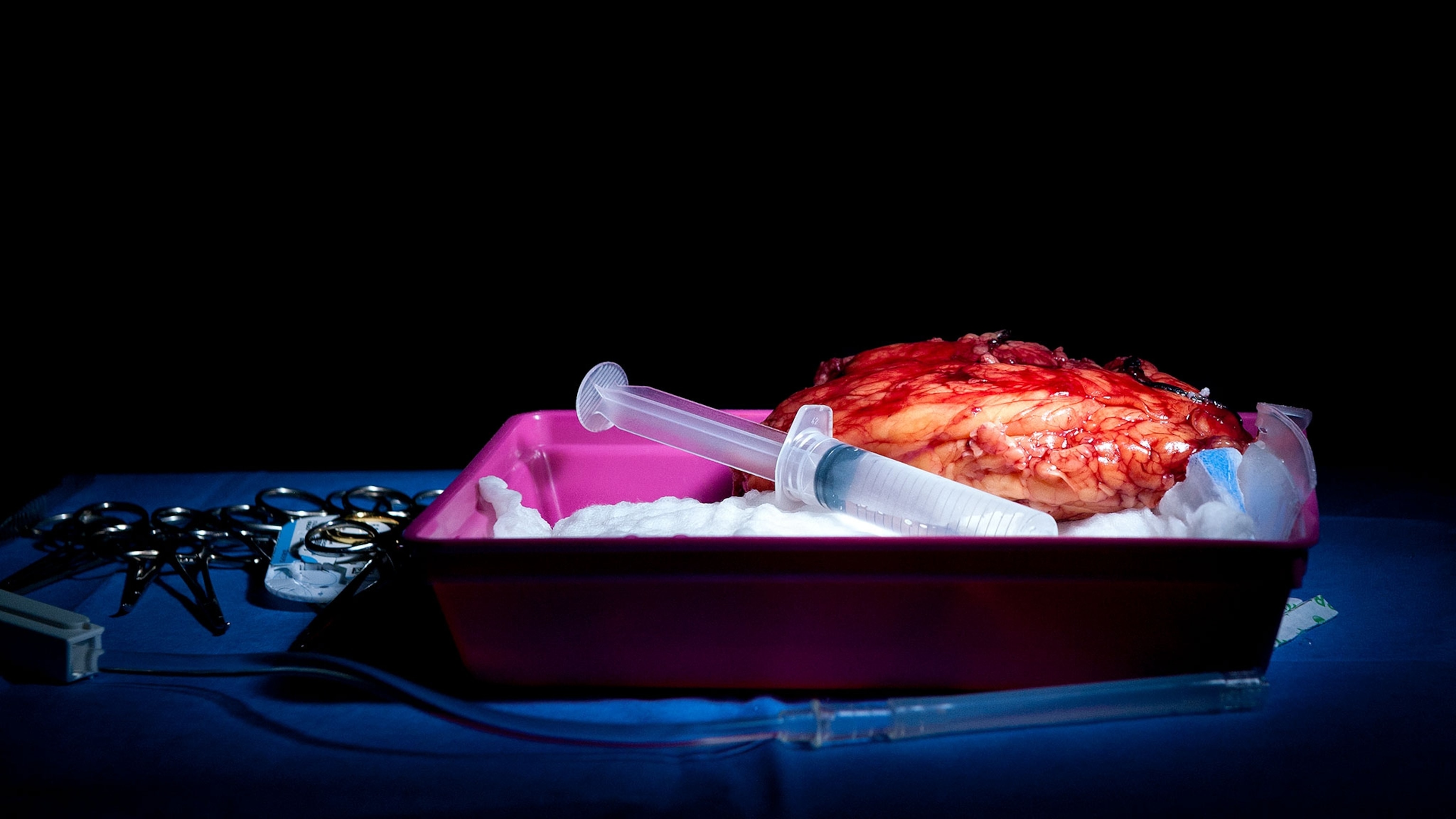 Could organ transplants really help you live to 150? Experts weigh in.