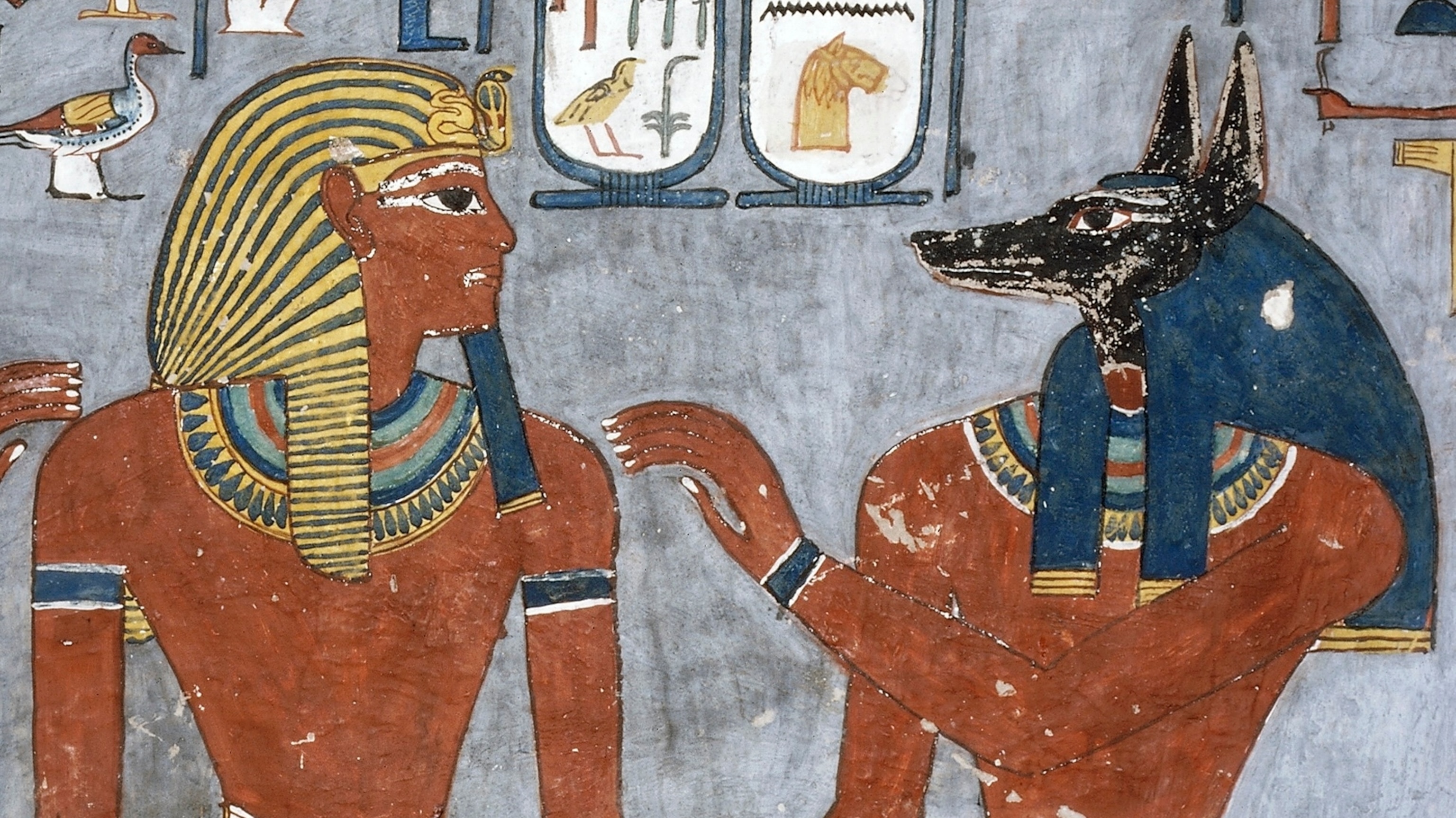 Ancient Egyptians revered dogs—can this street dog return to that former glory?