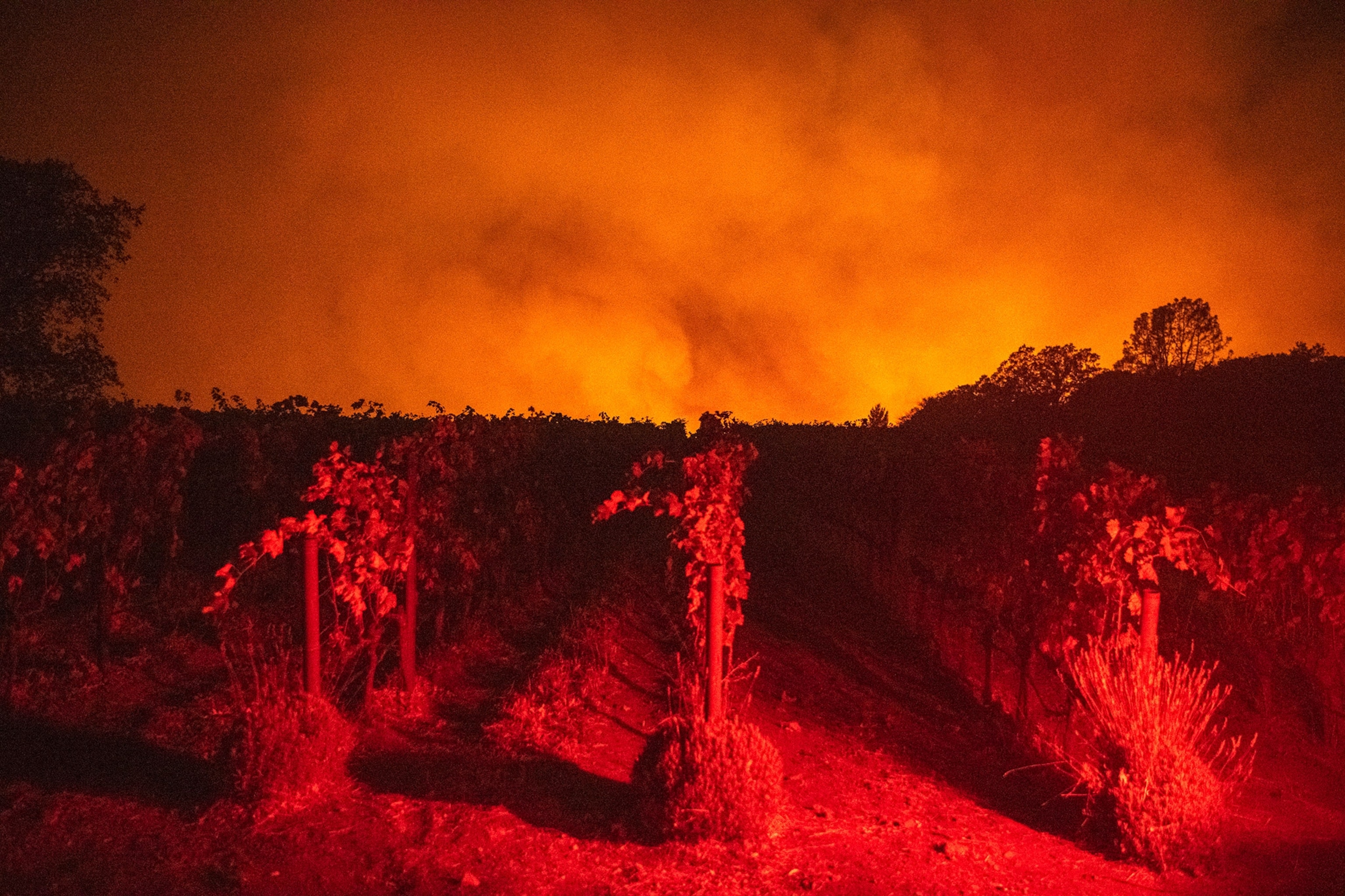 vineyards glowing red as the glass fire burns in California