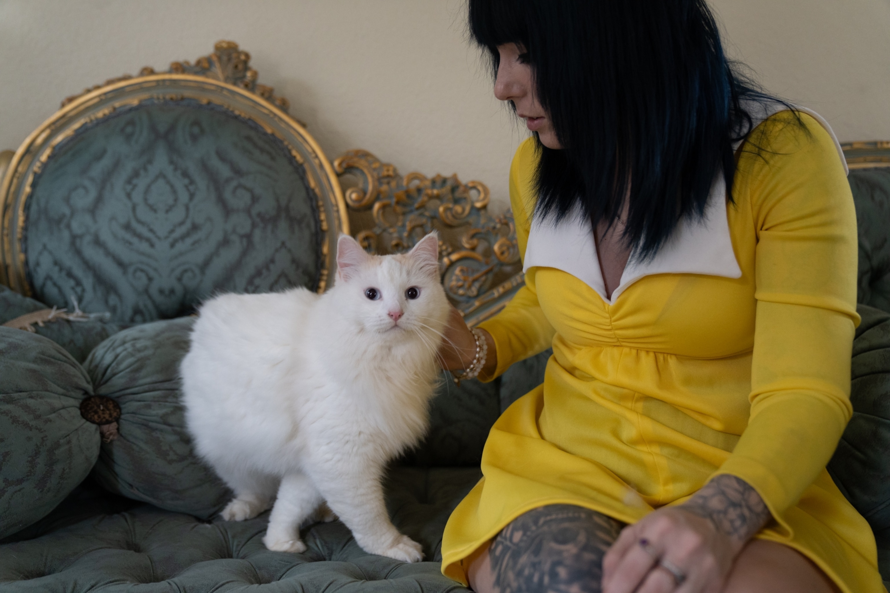 A cat crosses its legs sitting on a couch with a woman.