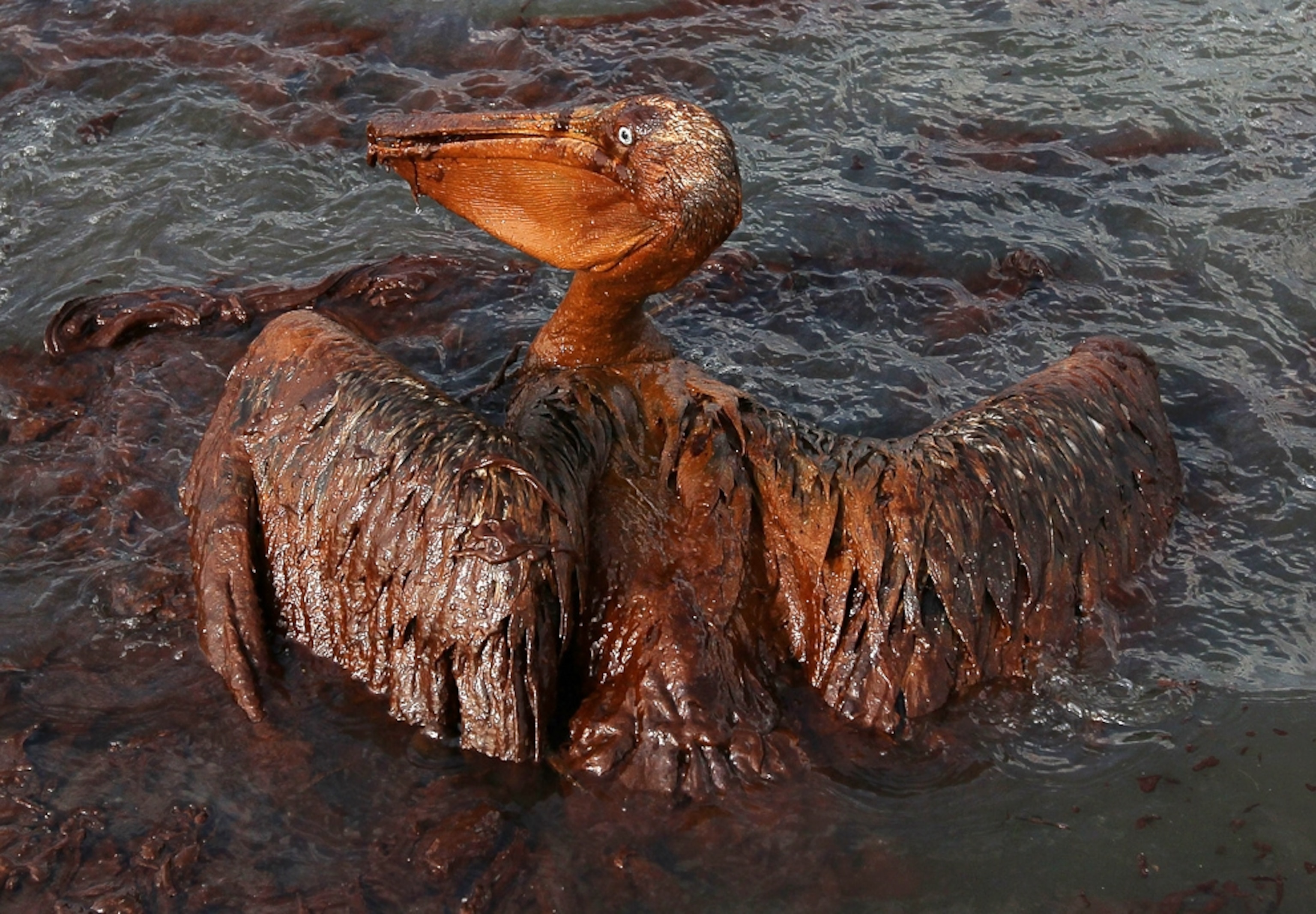 Is Your Oil Poisoned?  The Hidden Dangers Of Metal & Dirt - jujgpdy
