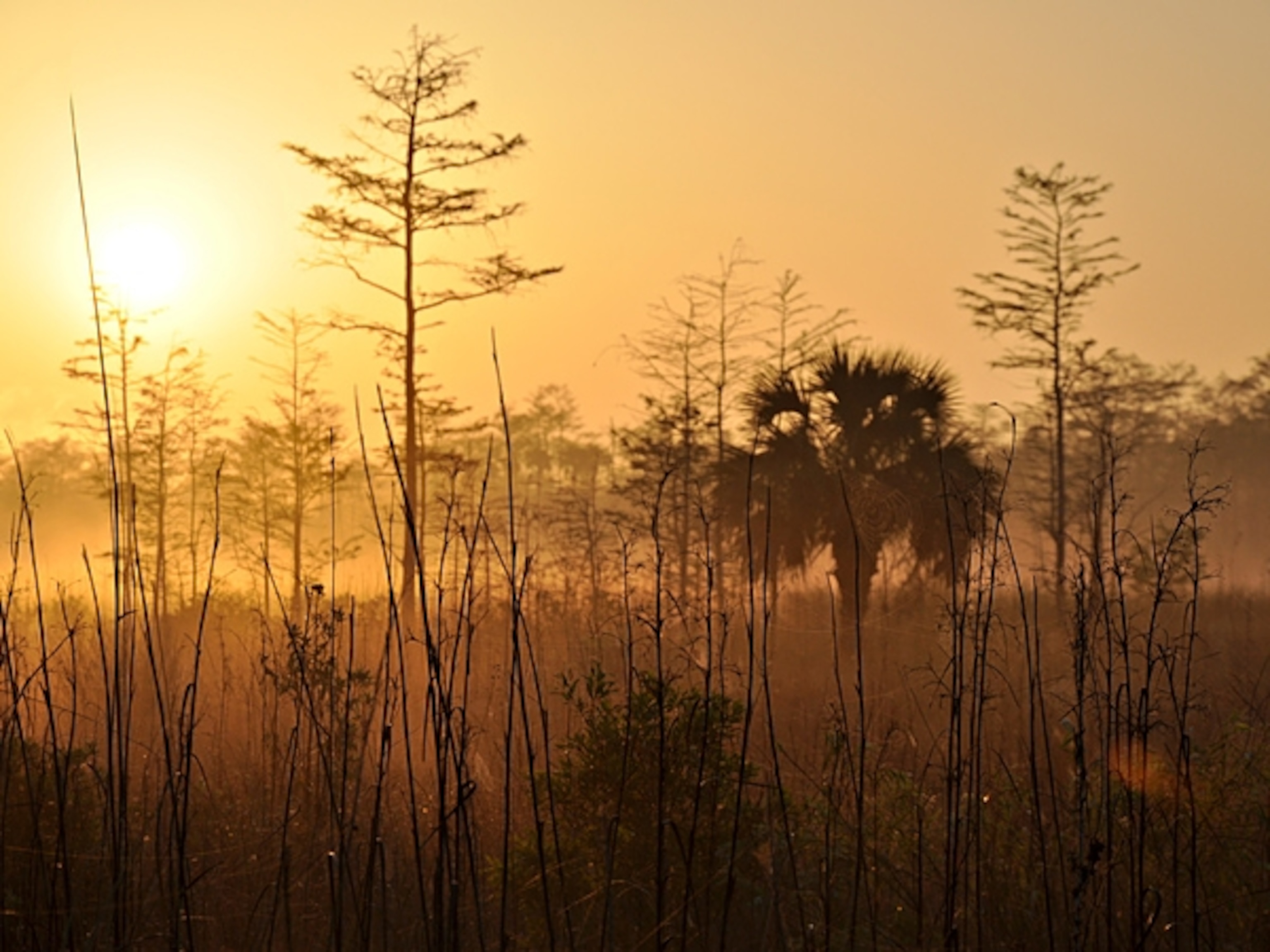Everglades National Park