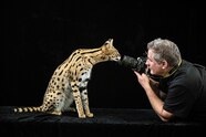 Joel Sartore s Portraits Capture Animals That Might Be Extinct In The 
