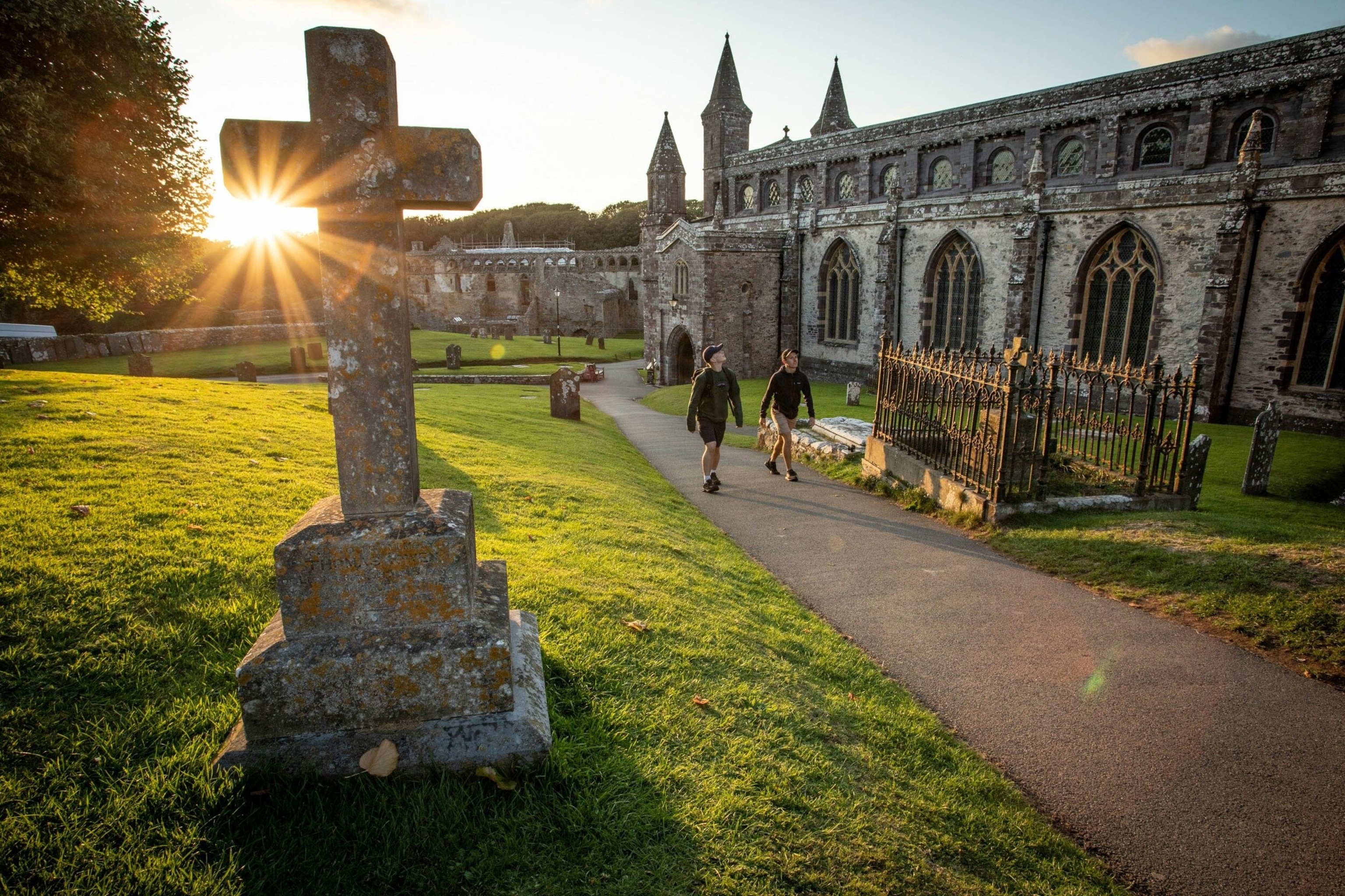 The sunlight shining through the cemetery at St David's.