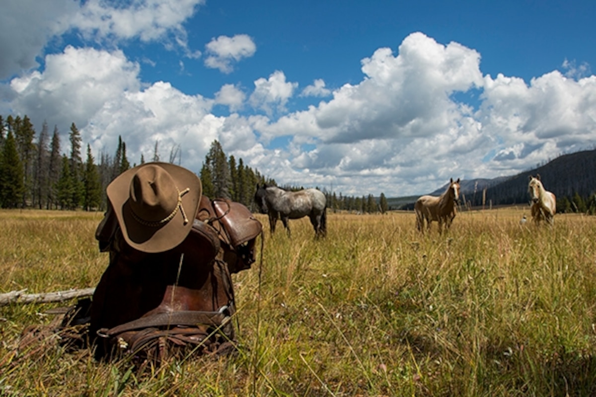 A Backcountry Recovery in Yellowstone Adventures on Horseback (Part 2