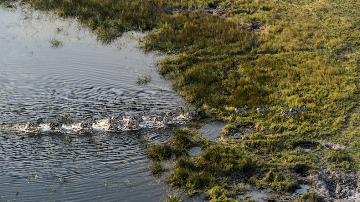 NationalGeographic_2721244.jpg?w=1151.99