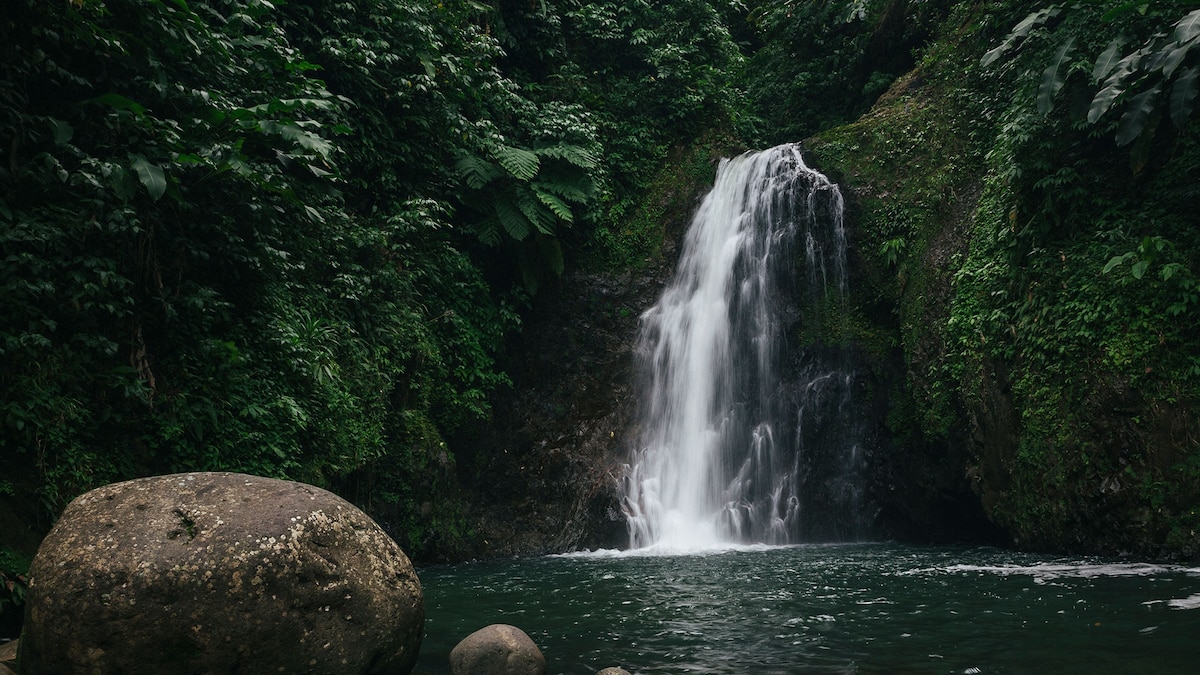 Top Things to Do in Grenada | National Geographic