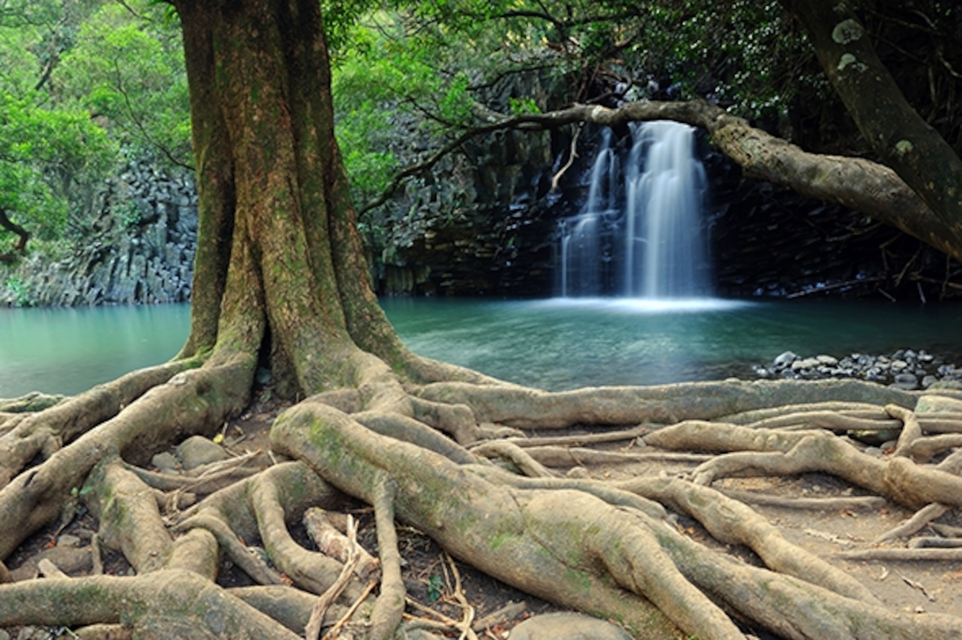 Twin Falls is just one of the stopovers of note along Maui's Hana Highway. (Photograph by Andrew Coleman)