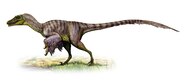 T REX C PH I L K S N M I V CH TH I TI N S 