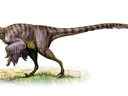 Imaginext Dinosaurs Velociraptor