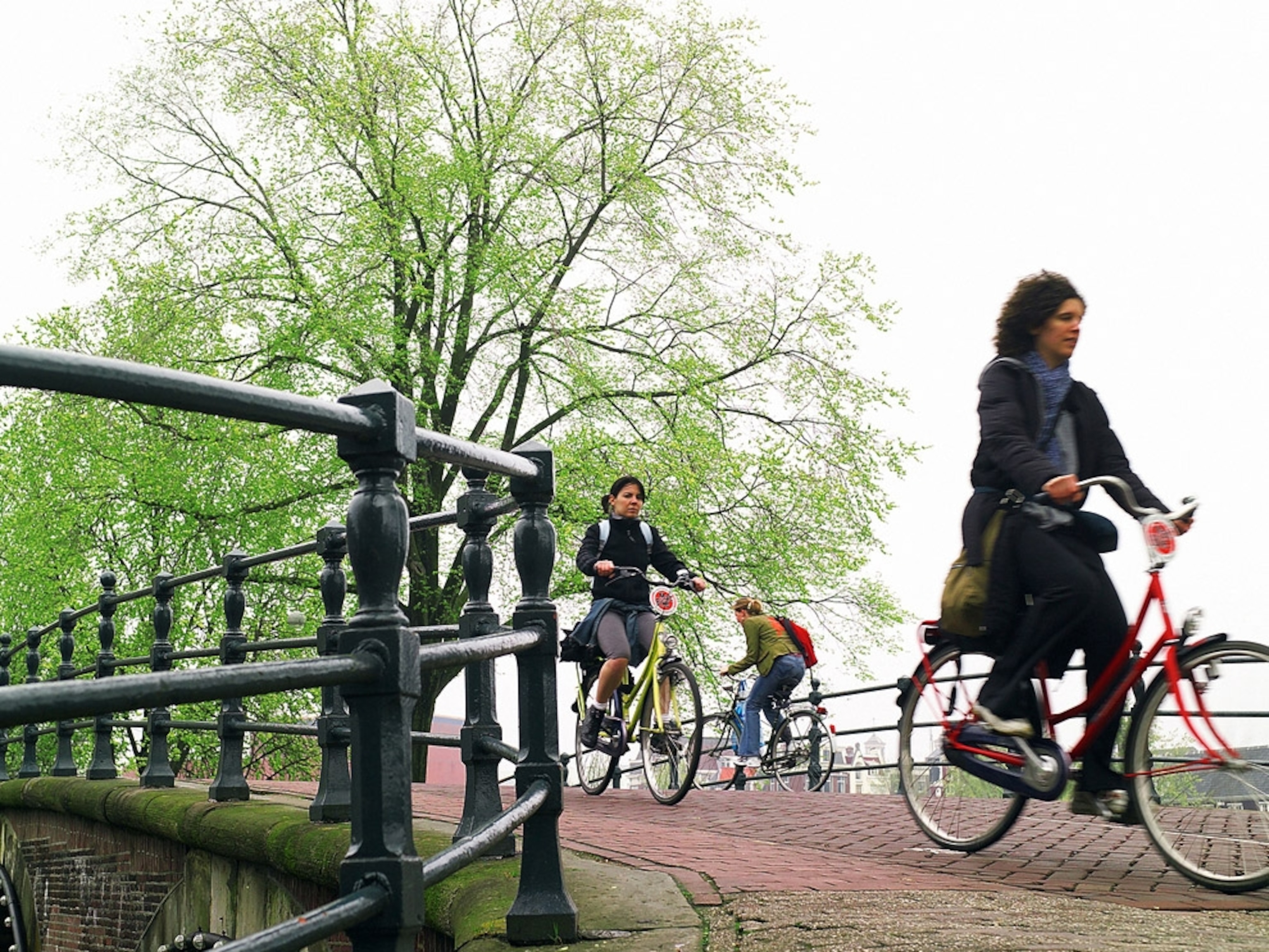 Bicycle transportation