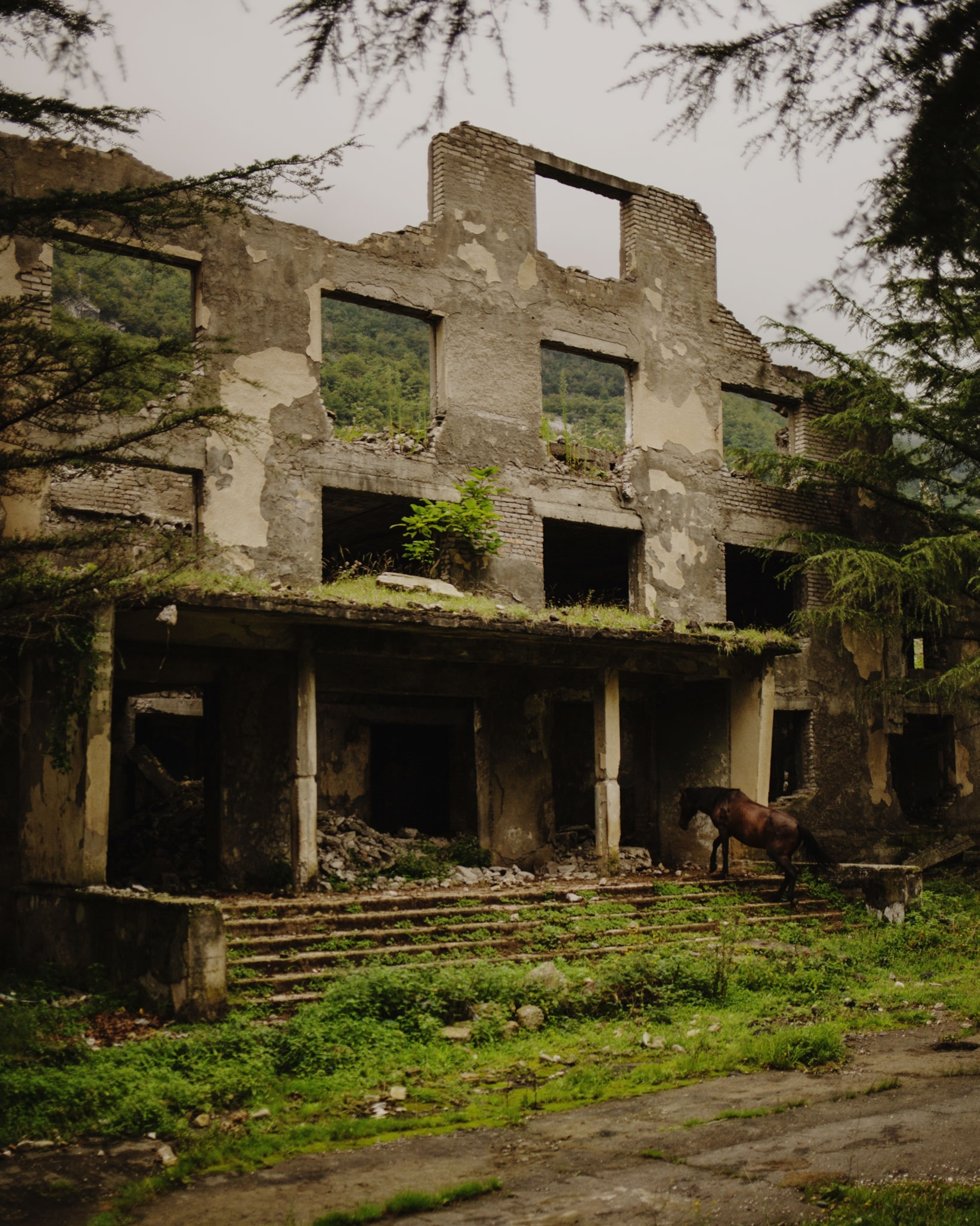 an abandoned house in Georgia