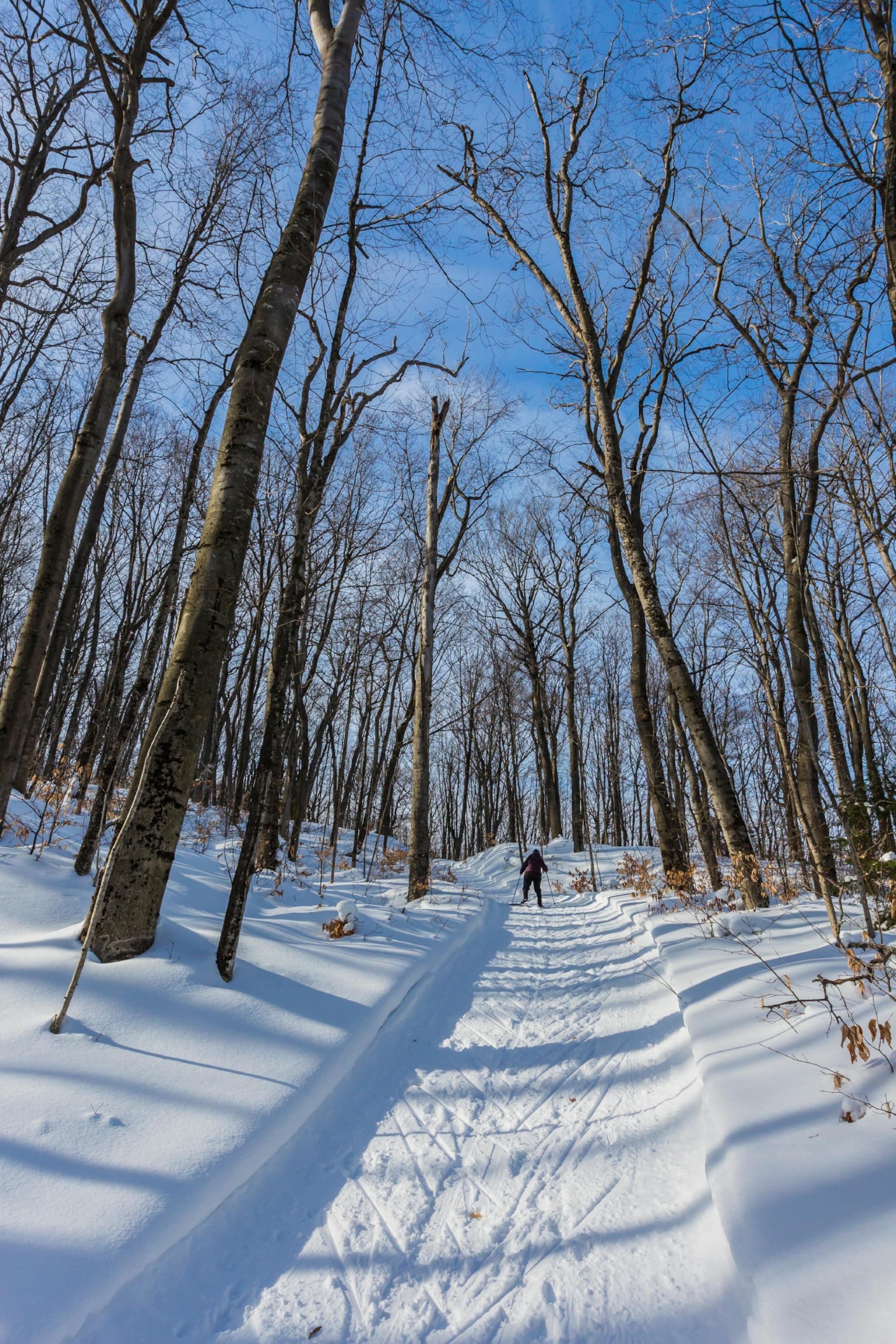 These are the best crosscountry ski trails in the U.S.