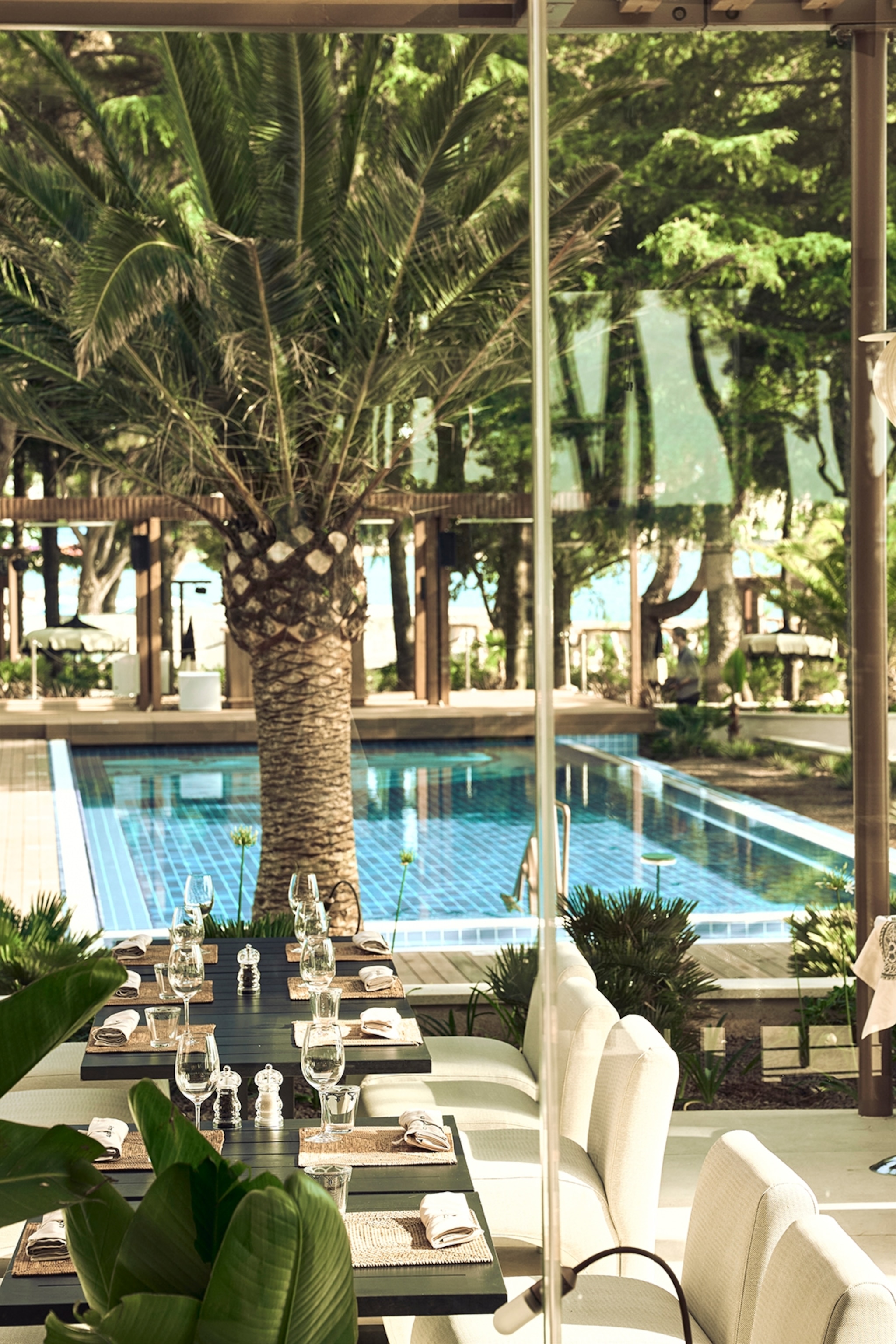 beach club and restaurant