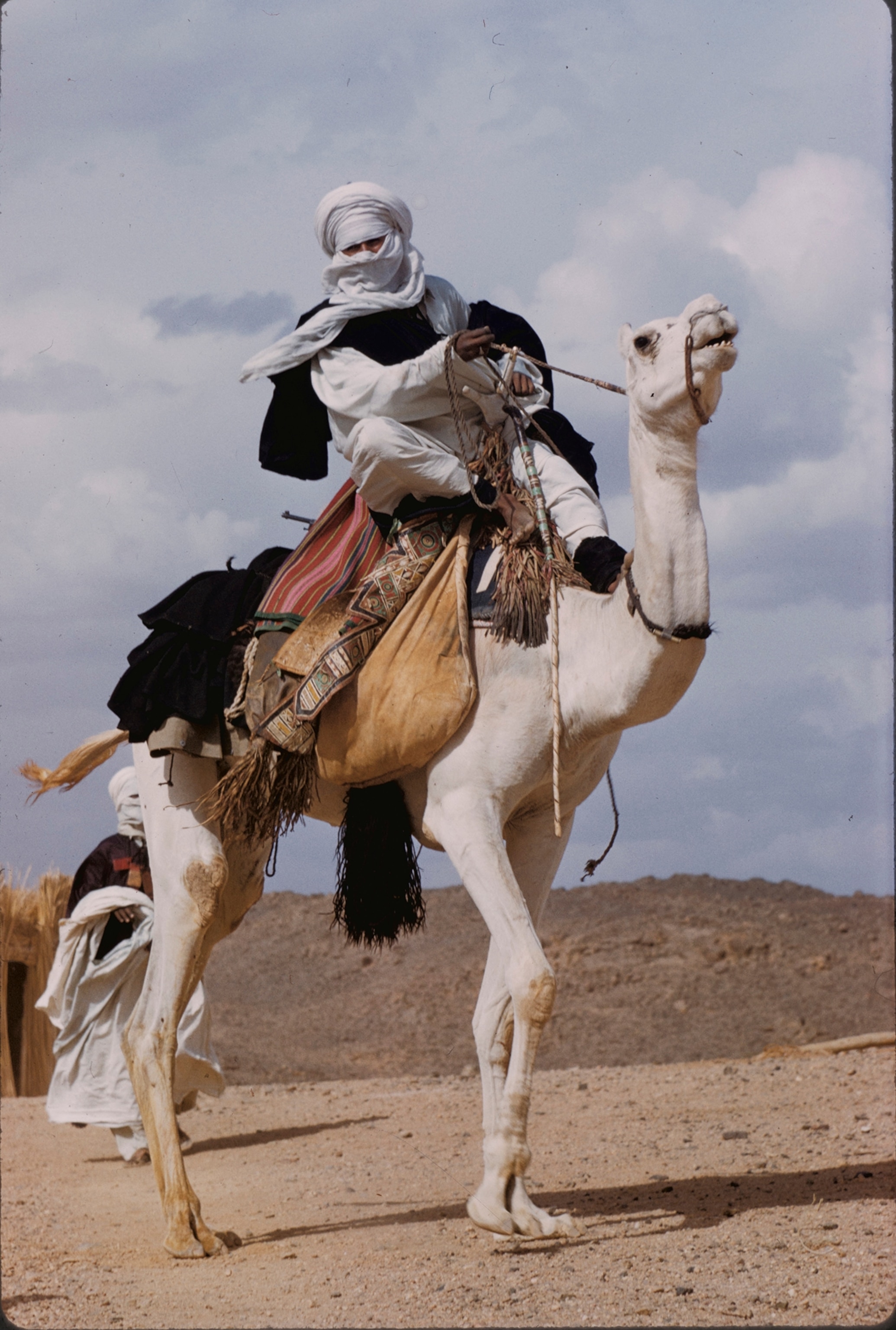 Veiled against wind, sand, and sun, a Tuareg tribesman rides his camel.