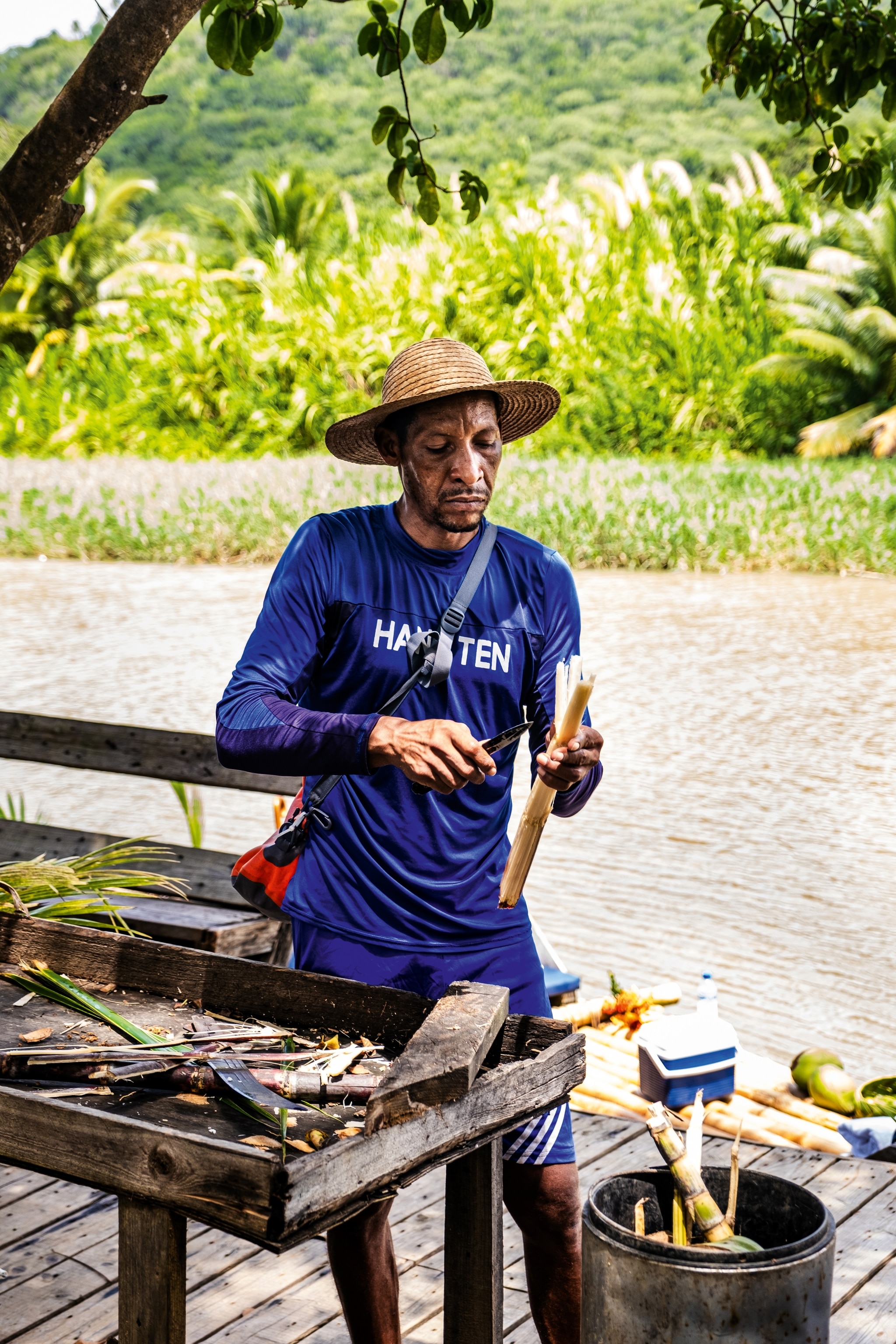 Man cutting bamboo