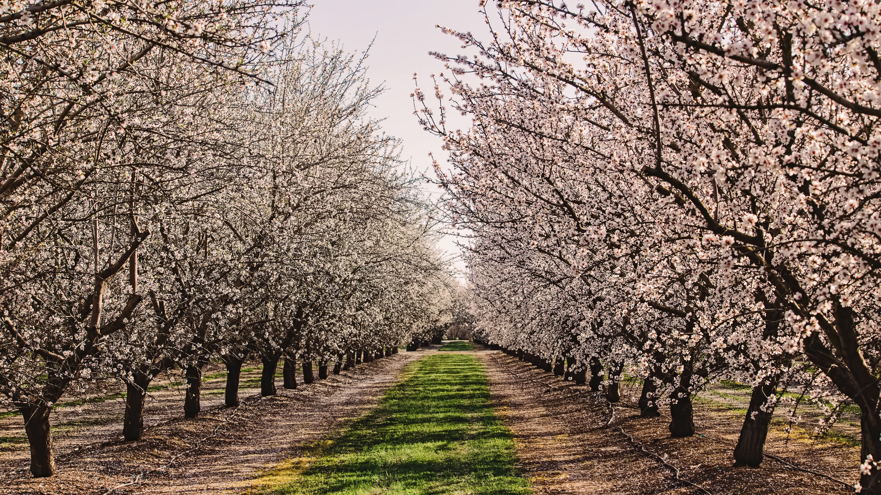 Top March Travel Destinations: Spring Adventures Await