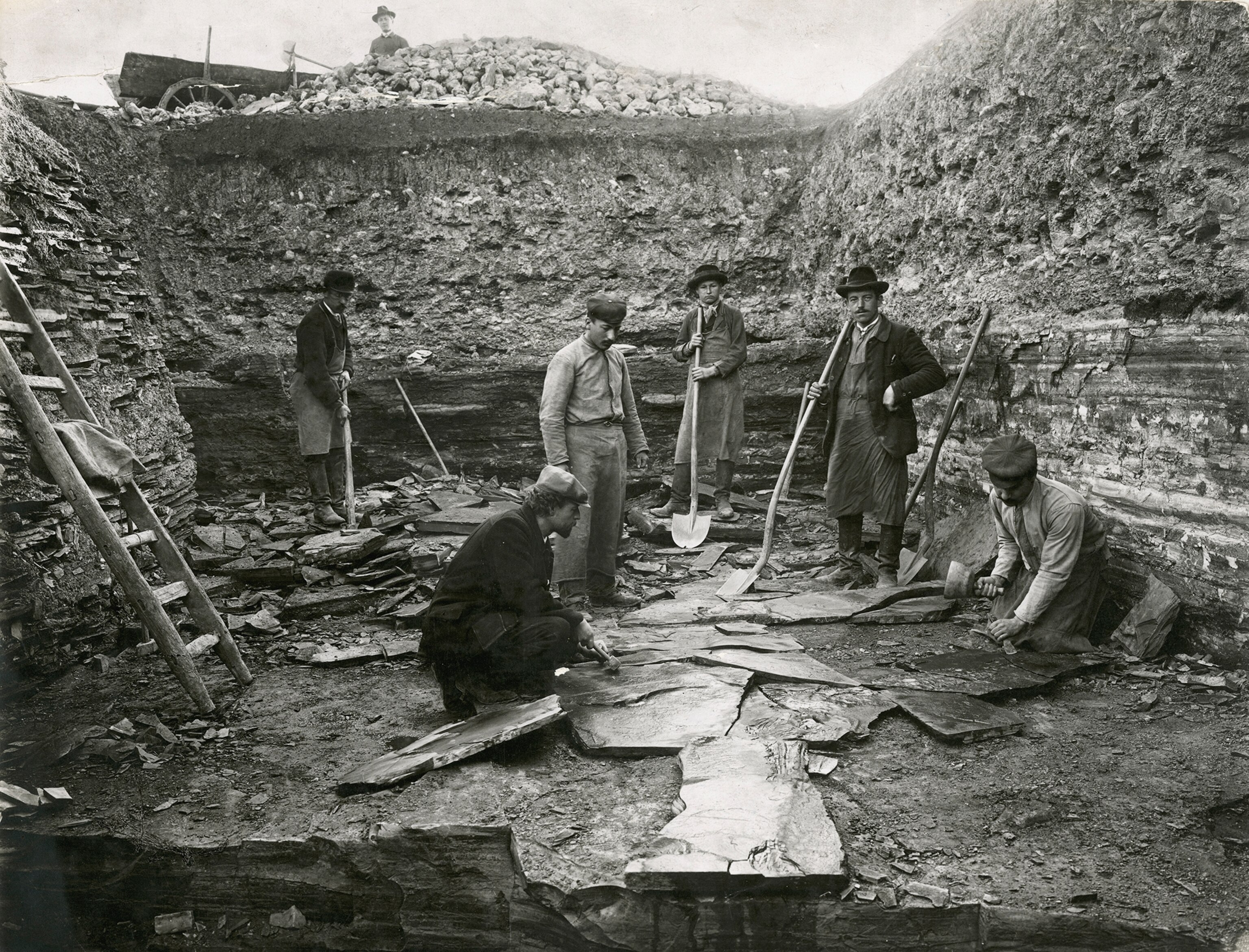 Discovery of an Ichthyosaurus by Dr. B. Hauff in a Posidon quarry of Holzmaden.