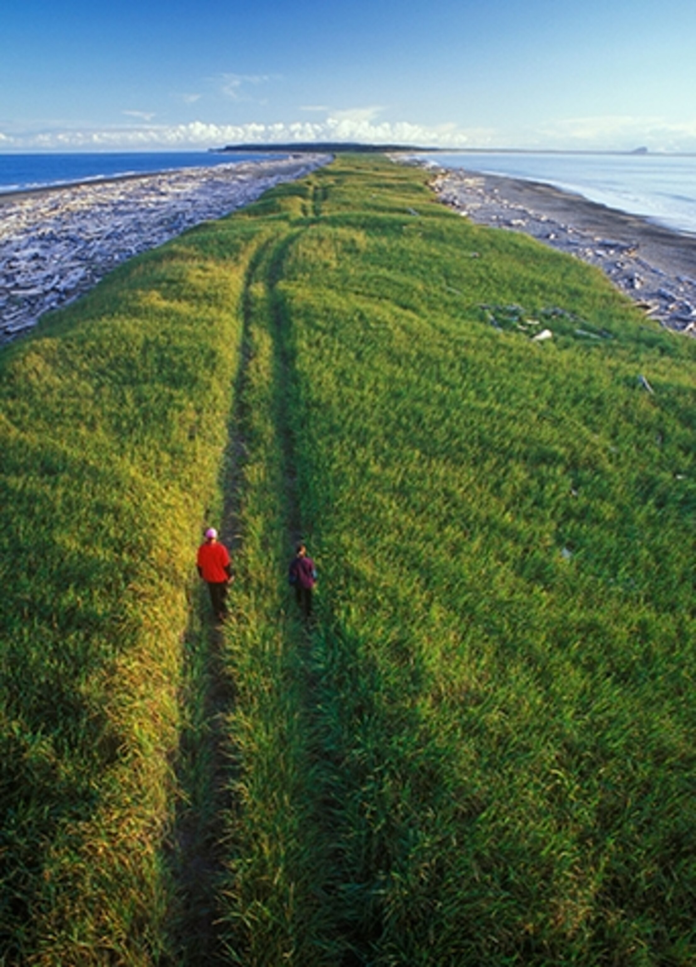 A grassy stretch of land between islands at Rose Spit, Haida Gwaii (Photograph by David Nunuk, Alamy)