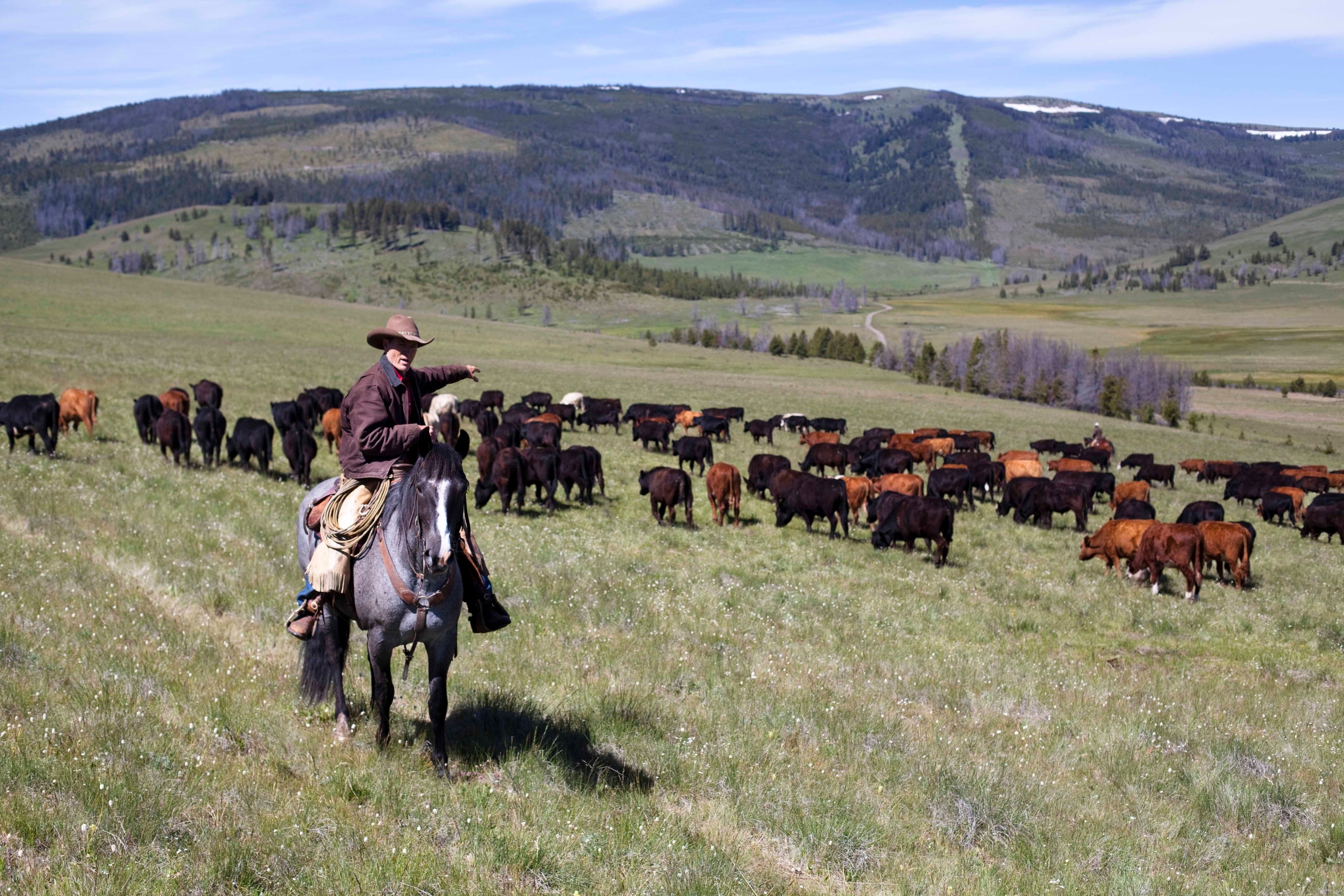 Gear Germann uses techniques.
