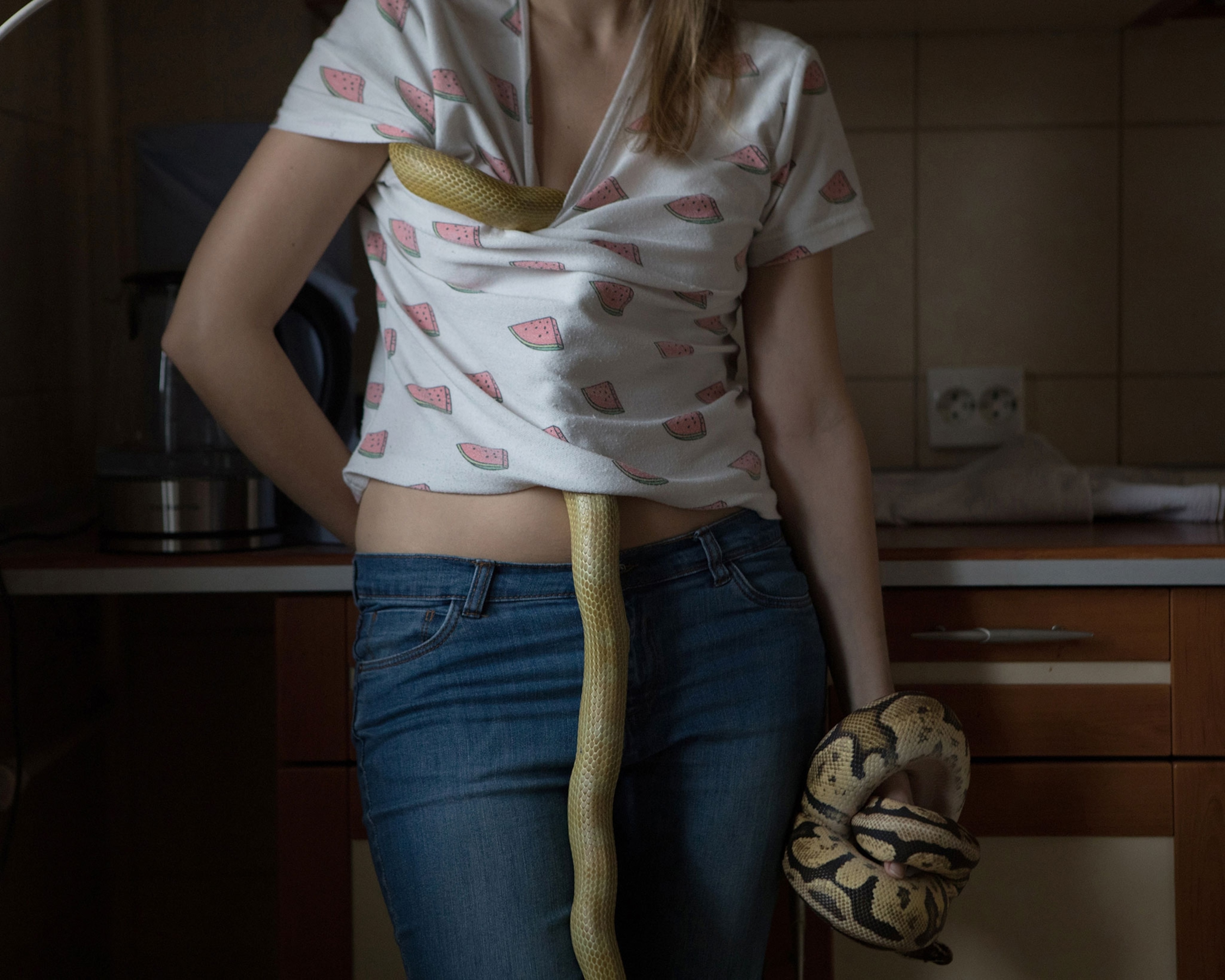 a Pantherophis guttatus and a Python regius