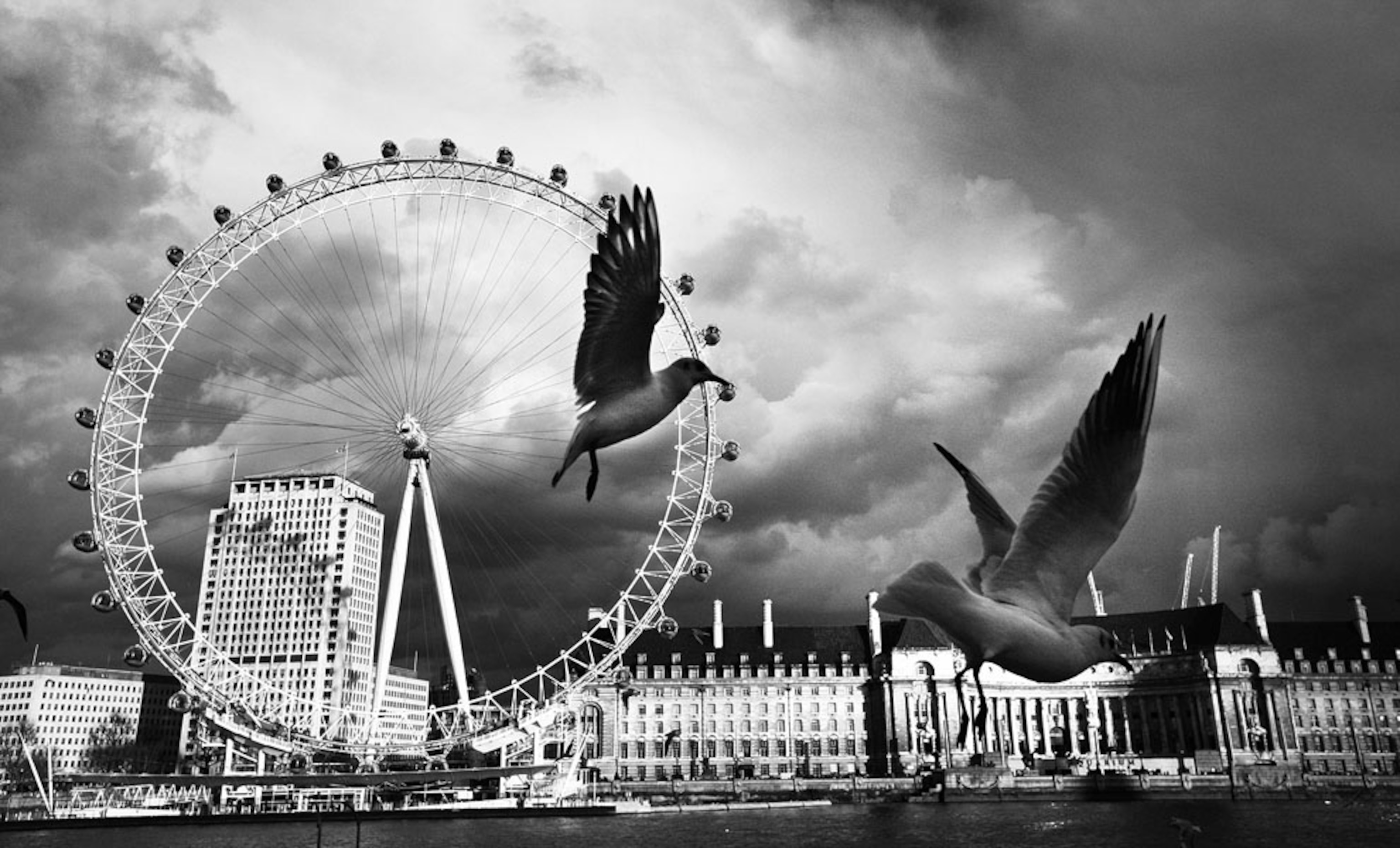 Birds in flight near the London Eye