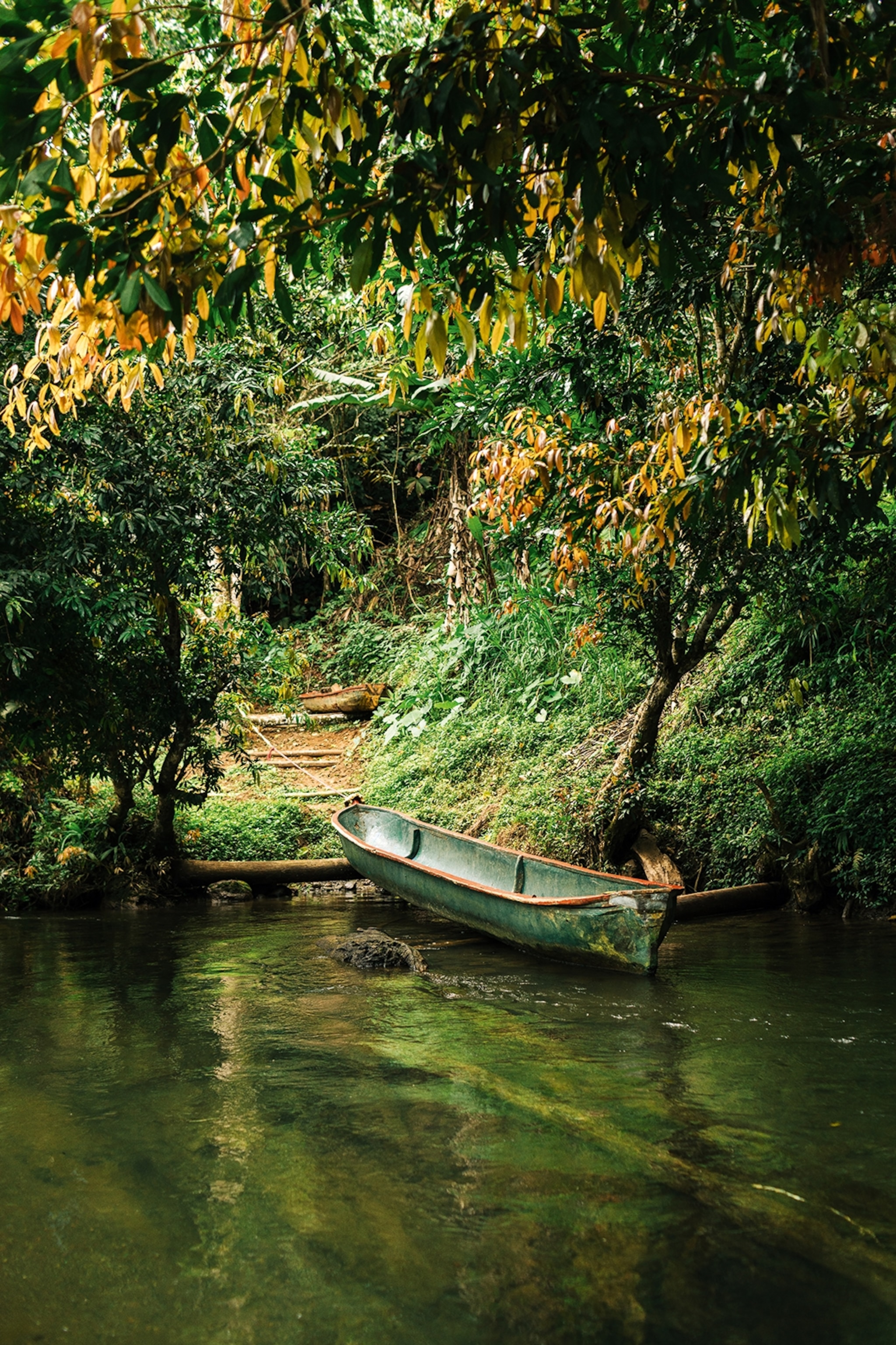 A simple canoe parked on wooden beams on the edge of a rainforest.