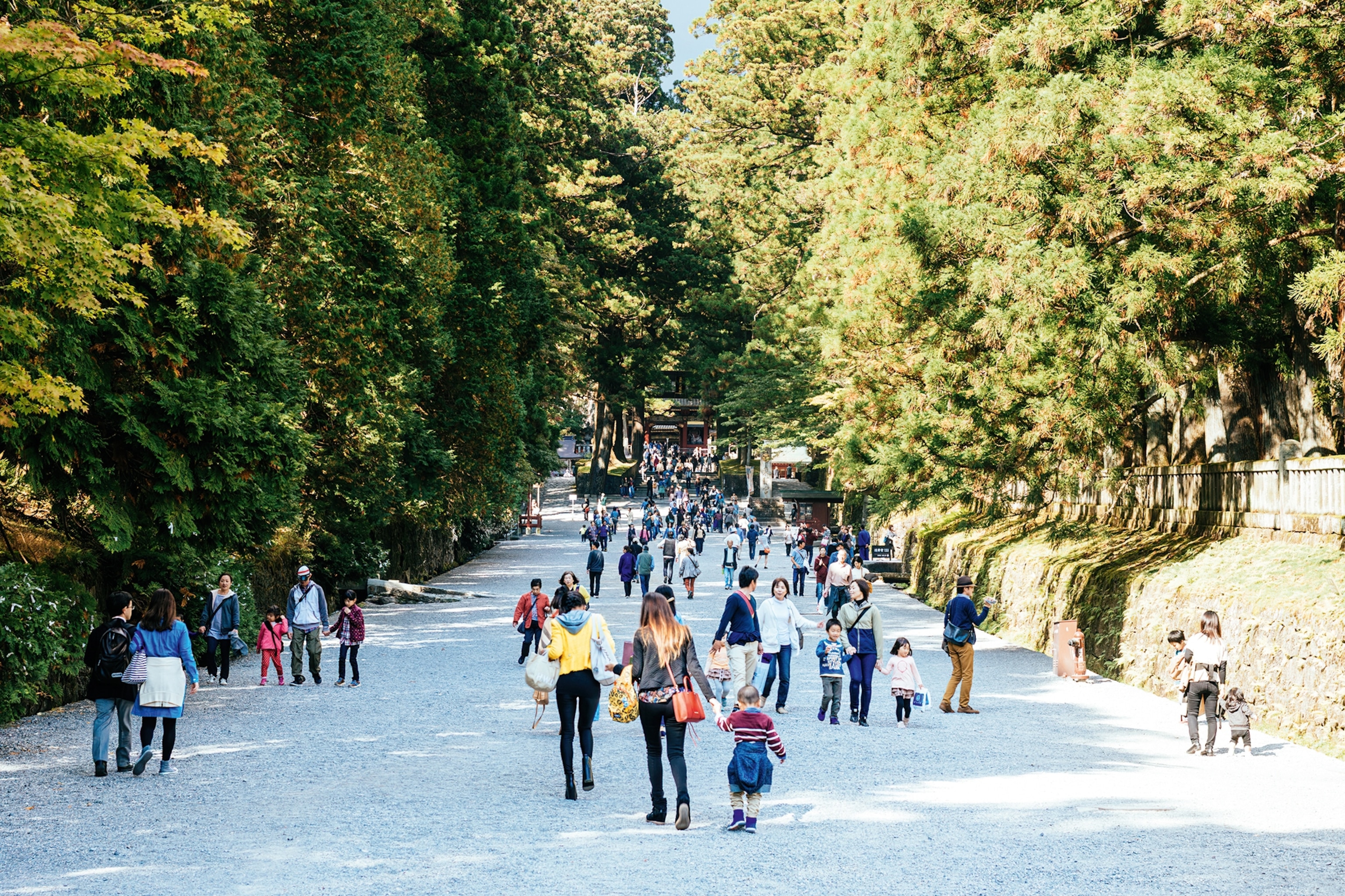 A pebble stoned walkway through a forest leading to a shrine.