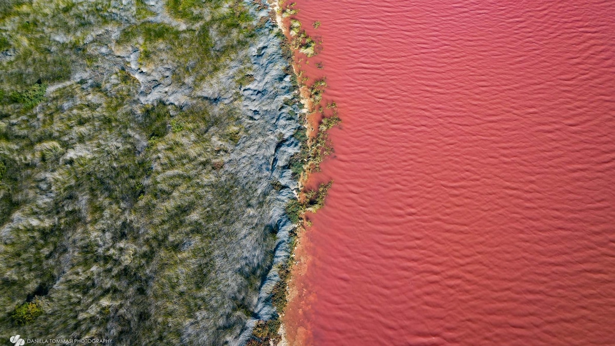 PinkLake-DanielaTommasi-114_16x9.jpg?w=1