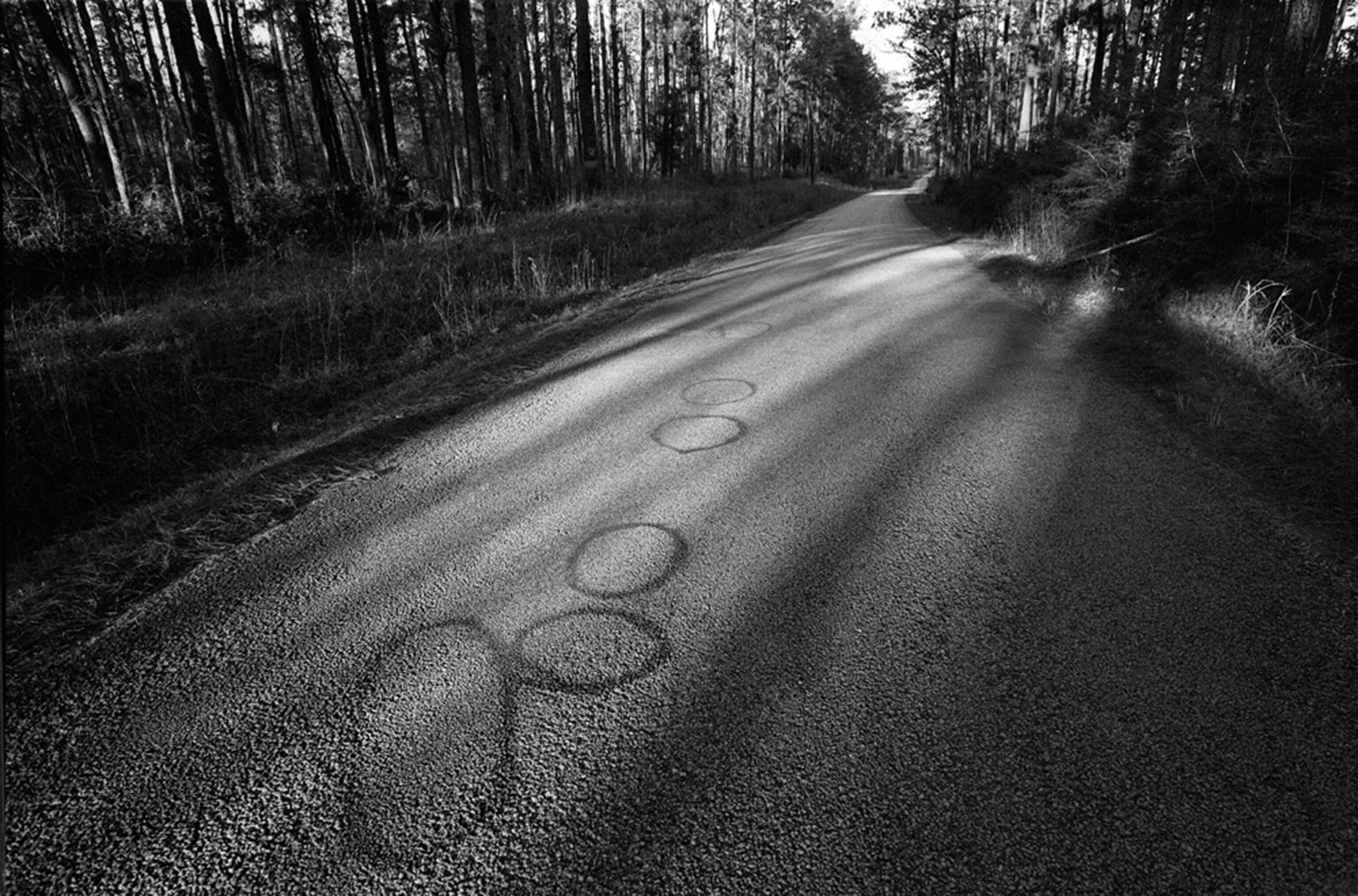 location where James Byrd, a black man, was dragged to death on Huff Creek Road