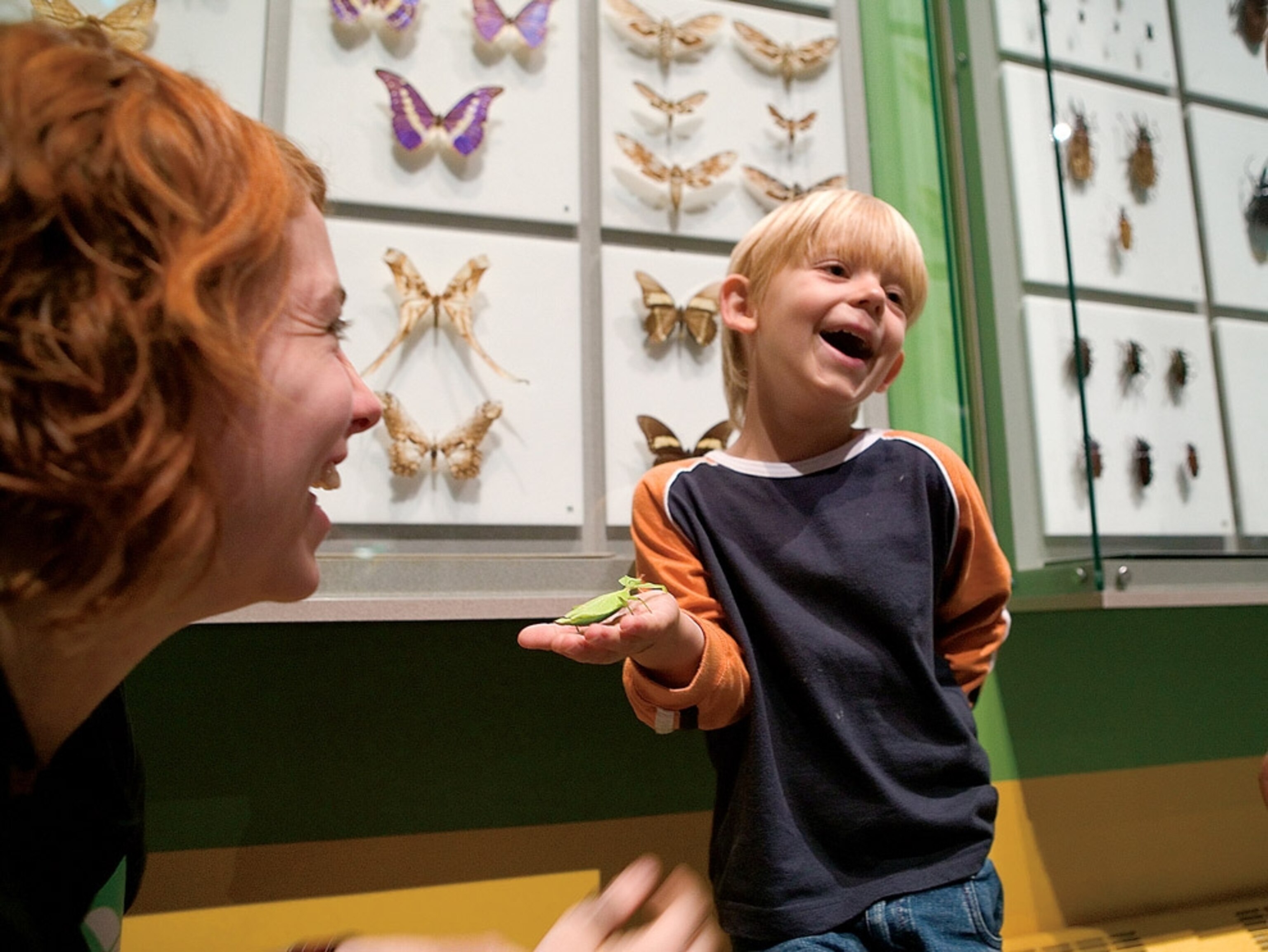 Insectarium, Montreal