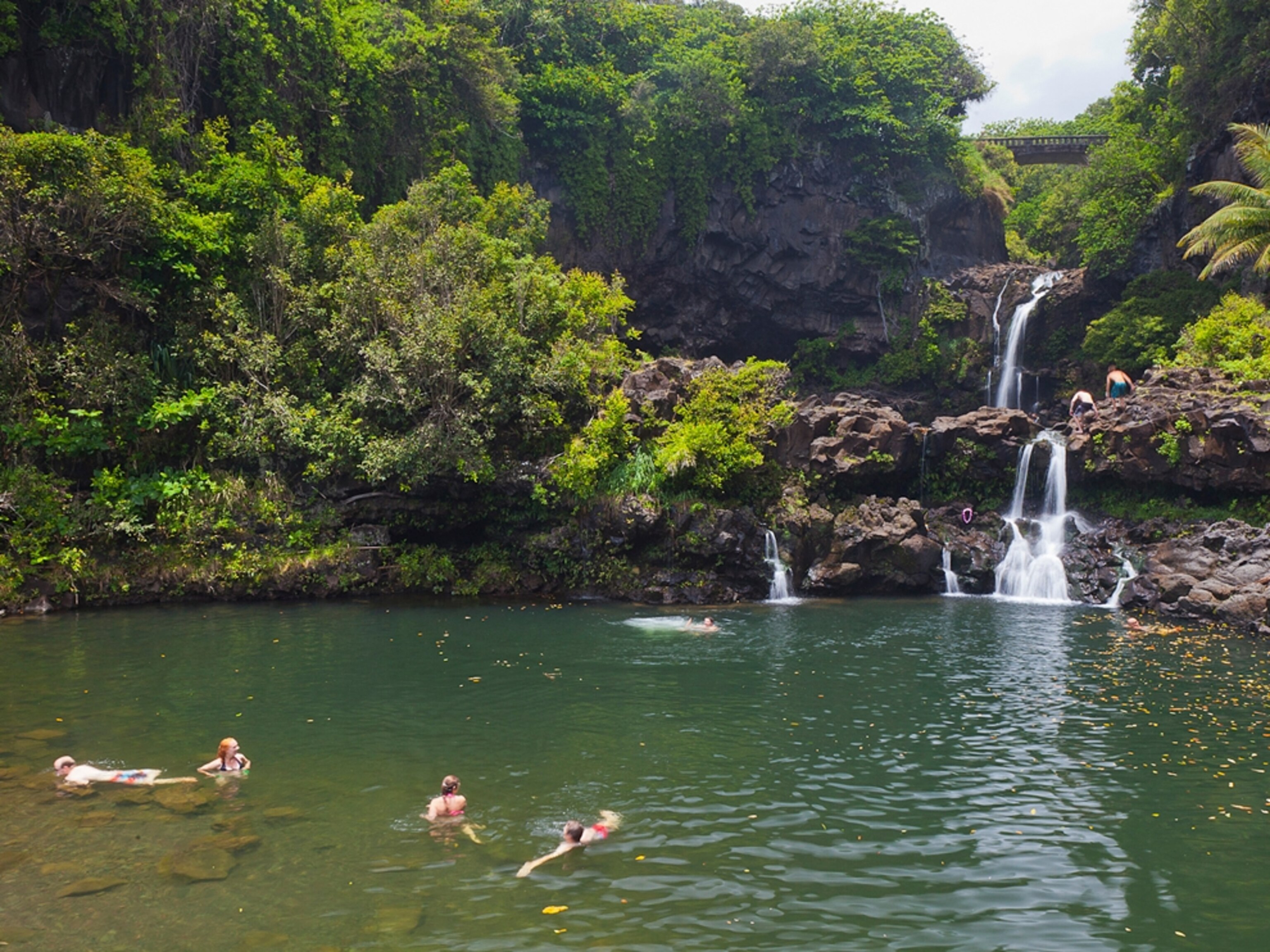 people swimming in waterfalls at Haleakala National Park
