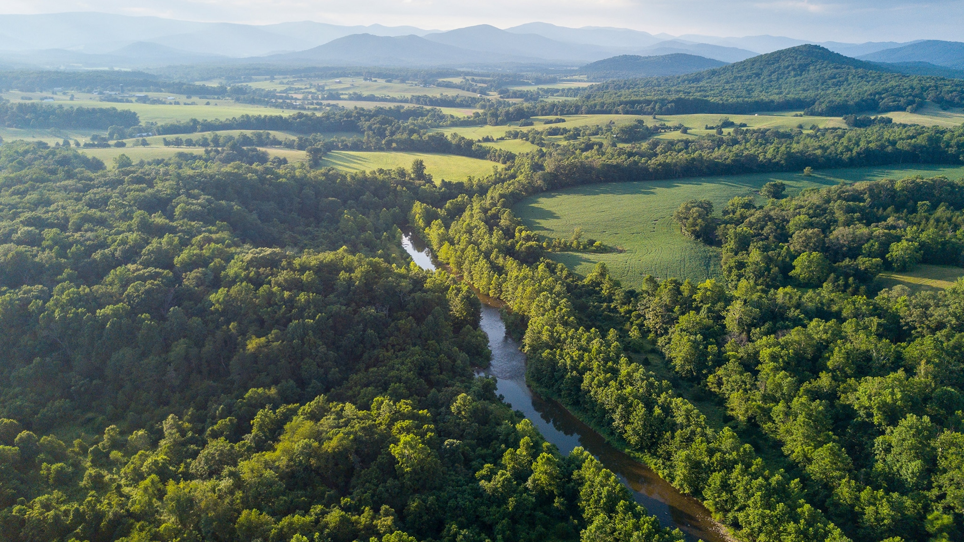 Everything you should know about Shenandoah National Park