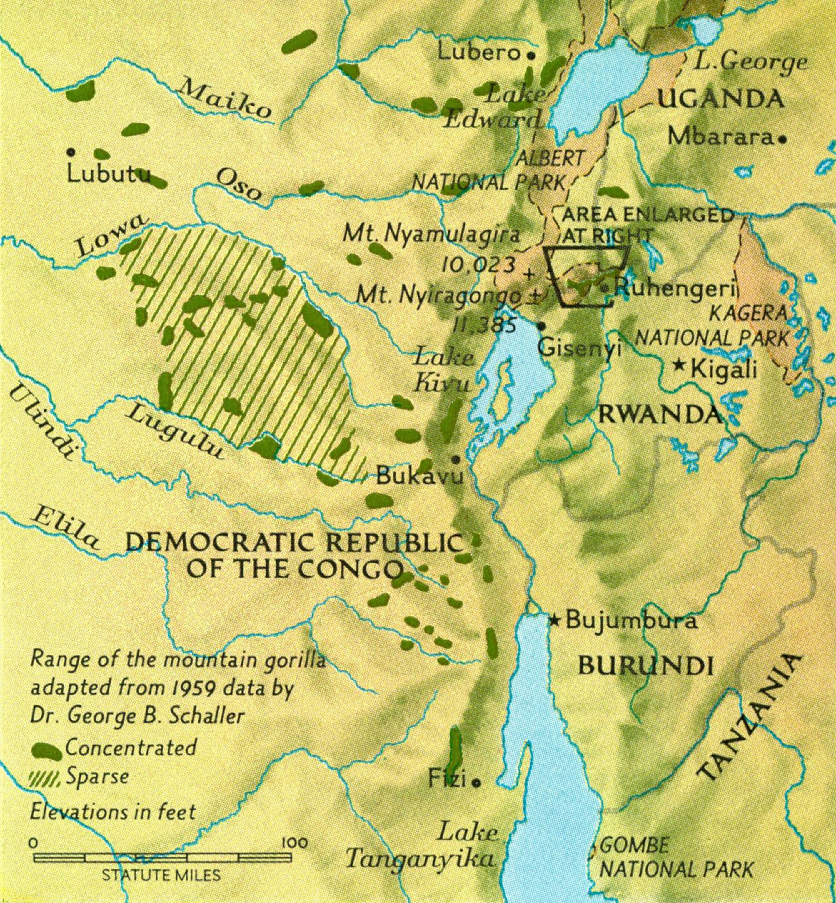 A map of Dian Fossey's camps in the Varuna Mountains.